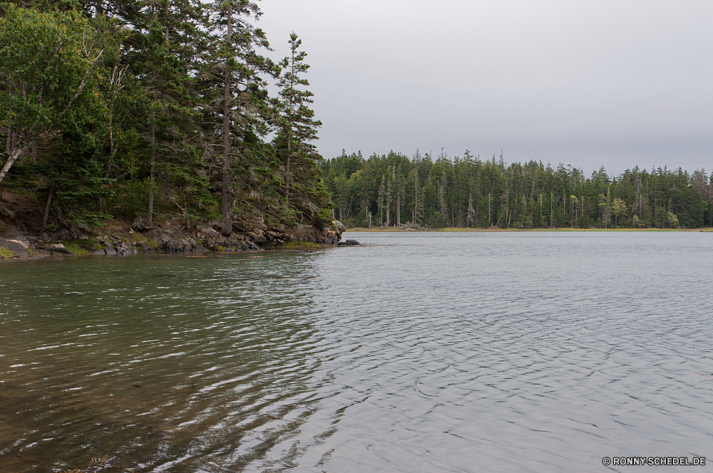 Acadia National Park am See Ufer See Landschaft Wasser Wald Baum Reflexion Fluss Himmel Becken Bäume Sommer im freien Teich natürliche depression ruhige Park Kanal Körper des Wassers landschaftlich Berg Reisen Gras Hölzer geologische formation Pflanze Ruhe Tourismus Wolke Umgebung im freien Wolken sonnig Szenerie Entwicklung des ländlichen Fels Szene Land Sonne Holz Frühling friedliche Stein Wildnis Urlaub Urlaub ruhig Herbst idyllische natürliche Insel Kiefer white mangrove Saison Sumpf gelassene Berge Landschaft Küste Erholung Gelände klar Felsen Meer Stream am Morgen Blatt Rest Sonnenlicht Farbe Bewuchs Busch Boot woody plant Entspannung Belaubung Frieden nationalen Wiese Wild Ozean Landschaften England Erhaltung Resort Branch Tourist Horizont Sonnenuntergang bunte Land niemand lakeside shore lake landscape water forest tree reflection river sky basin trees summer outdoors pond natural depression tranquil park channel body of water scenic mountain travel grass woods geological formation plant calm tourism cloud environment outdoor clouds sunny scenery rural rock scene land sun wood spring peaceful stone wilderness vacation holiday quiet autumn idyllic natural island pine white mangrove season swamp serene mountains countryside coast recreation terrain clear rocks sea stream morning leaf rest sunlight color vegetation bush boat woody plant relaxation foliage peace national meadow wild ocean scenics england conservation resort branch tourist horizon sunset colorful country nobody