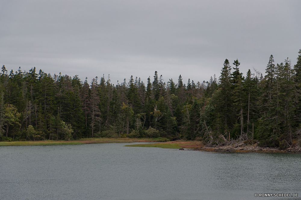 Acadia National Park Baum Landschaft Wald Bäume Himmel Gras Entwicklung des ländlichen landschaftlich Wasser Fluss See Sumpf Land Park Bereich Szenerie Landschaft Sommer Straße Berg im freien Pflanze Reisen Land Ufer am See Wildnis Berge im freien Hölzer Kiefer Sonne Feld Herbst Feuchtgebiet Wolke Umgebung Szene Wiese Holz Saison woody plant Urlaub Wild natürliche Wolken fallen Frühling Teich Schnee sonnig vascular plant nationalen Pflanzen Horizont Landwirtschaft bewölkt außerhalb Winter friedliche Tourismus Landschaften Wetter England idyllische Düne gelb Belaubung Erholung Reflexion Bauernhof Stream Asphalt Tag niemand Pfad Biegung ruhige Licht Sonnenlicht Blätter Meer Farbe Wanderweg Ozean Busch Rasen Haus Hügel Branch am Morgen hell saisonale tree landscape forest trees sky grass rural scenic water river lake swamp land park range scenery countryside summer road mountain outdoor plant travel country shore lakeside wilderness mountains outdoors woods pine sun field autumn wetland cloud environment scene meadow wood season woody plant vacation wild natural clouds fall spring pond snow sunny vascular plant national plants horizon agriculture cloudy outside winter peaceful tourism scenics weather england idyllic dune yellow foliage recreation reflection farm stream asphalt day nobody path bend tranquil light sunlight leaves sea color trail ocean bush lawn house hill branch morning bright seasonal