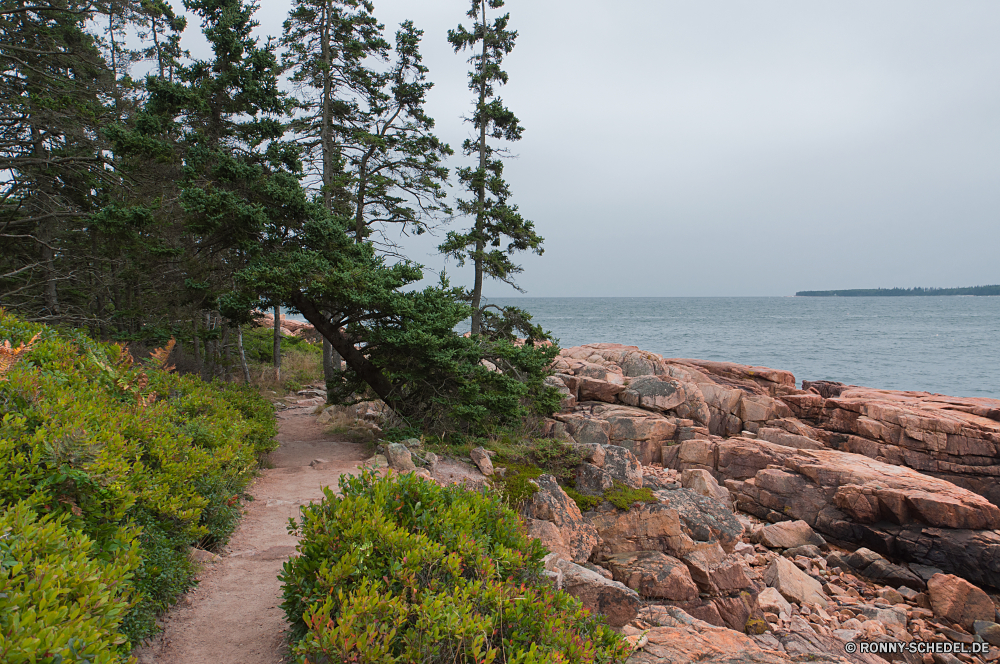 Acadia National Park Ufer Meer Baum Küste Ozean Landschaft Wasser Wellenbrecher Barrier Strand Himmel Küste Fels Sommer am See Obstruktion Insel echte Lorbeer Urlaub landschaftlich Reisen Felsen woody plant Wolke Berg Bäume Stein Sonne Sand Wolken Wald vascular plant Szenerie Klippe Struktur Tourismus Tag friedliche am Meer Küstenlinie Fluss Pflanze im freien Berge See im freien Welle Wetter felsigen Urlaub Bucht Tropischer Gras Entspannen Sie sich Erholung Pazifik seelandschaft Hügel Kap Ruhe Horizont Park Sonnenlicht sonnig Steinmauer Saison Tourist Umgebung Straße Küste Szene Zaun Steine Resort Urlaub Wellen natürliche Land Klippen idyllische Paradies Ziel Sonnenuntergang shore sea tree coast ocean landscape water breakwater barrier beach sky coastline rock summer lakeside obstruction island true laurel vacation scenic travel rocks woody plant cloud mountain trees stone sun sand clouds forest vascular plant scenery cliff structure tourism day peaceful seaside shoreline river plant outdoor mountains lake outdoors wave weather rocky holiday bay tropical grass relax recreation pacific seascape hill cape calm horizon park sunlight sunny stone wall season tourist environment road coastal scene fence stones resort holidays waves natural country cliffs idyllic paradise destination sunset