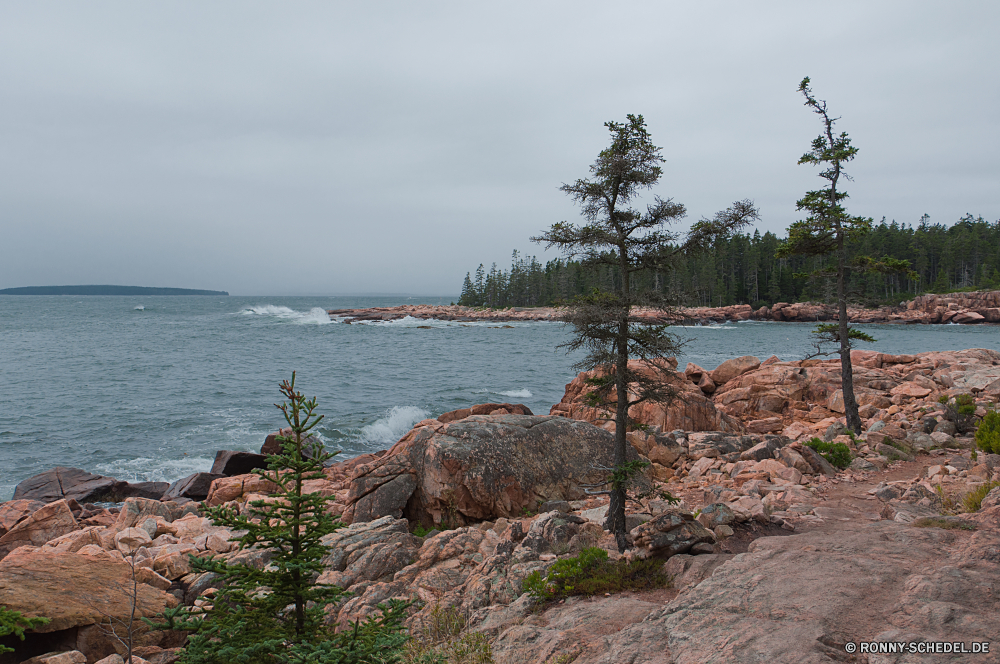 Acadia National Park Wellenbrecher Barrier Meer Ozean Obstruktion Strand Wasser Küste Landschaft Ufer Himmel Küste Struktur Fels Reisen Insel Sommer Urlaub Tourismus Bucht am Meer Stein Szenerie Sand seelandschaft Sonne Felsen landschaftlich Küstenlinie Horizont Baum Entspannen Sie sich Welle Wolke felsigen Wellen See Klippe Ziel Pazifik Urlaub Vorgebirge Tourist Wolken am See Szene sonnig Berg Paradies im freien Küste Surf Resort Tag natürliche Höhe friedliche ruhige Sonnenuntergang Erholung Sonnenlicht Kap Hügel im freien Schiff Bäume geologische formation Reiseziele Türkis idyllische Tropischer Gezeiten Steine Urlaub Süden Wind Palm Ruhe Meeresküste Lagune klar natürliche Boot Urlaub Entspannung Umgebung Wahrzeichen Marine Körper des Wassers Sonnenaufgang Sonnenschein Stadt Freizeit Frieden Wetter Gras Saison breakwater barrier sea ocean obstruction beach water coast landscape shore sky coastline structure rock travel island summer vacation tourism bay seaside stone scenery sand seascape sun rocks scenic shoreline horizon tree relax wave cloud rocky waves lake cliff destination pacific holiday promontory tourist clouds lakeside scene sunny mountain paradise outdoor coastal surf resort day natural elevation peaceful tranquil sunset recreation sunlight cape hill outdoors ship trees geological formation destinations turquoise idyllic tropical tide stones vacations south wind palm calm seashore lagoon clear natural boat holidays relaxation environment landmark marine body of water sunrise sunshine city leisure peace weather grass season