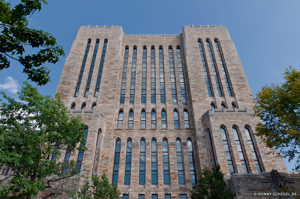 Yale University Wolkenkratzer Architektur Gebäude Büro Stadt Fassade Turm Universität Urban Himmel aussenansicht Struktur Innenstadt moderne Stadtansicht Gebäude Wahrzeichen groß Tourismus Reisen Fenster Glas Landkreis alt Bau Denkmal Wolkenkratzer Windows Stein Stadt Spalte Antike Kuppel Geschäft Neu Skyline Haus Kirche hoch Palast Zentrum Geschäftsviertel finanzielle Kathedrale Unternehmen Straße Geschichte historischen Regierung Reflexion Wohnung Perspektive berühmte Tourist im freien Religion architektonische Mauer Finanzen Gestaltung Städte Szene Statue Kultur Real historische Stahl Tempel Metropolitan Türme Katholische Ruine Attraktion England Hauptstadt Build religiöse Residenz Bäume skyscraper architecture building office city facade tower university urban sky exterior structure downtown modern cityscape buildings landmark tall tourism travel window glass district old construction monument skyscrapers windows stone town column ancient dome business new skyline house church high palace center business district financial cathedral corporate street history historic government reflection apartment perspective famous tourist outdoor religion architectural wall finance design cities scene statue culture real historical steel temple metropolitan towers catholic ruin attraction england capital build religious residence trees