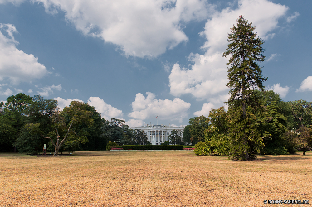 Washington DC Himmel Feld Landschaft Baum Gras Entwicklung des ländlichen Wiese Sommer Bauernhof Landschaft Horizont Wolken Frühling Atmosphäre Wolke bewölkt Land Land Bäume Rasen Landwirtschaft Pflanze Umgebung Weide Wetter Szene Saison Wolkengebilde Szenerie landschaftlich im freien idyllische Hügel Wald Hügel Reiner Baseball-Ausrüstung Landbau Sonne im freien Grünland Ackerland sonnig außerhalb Sonnenlicht Sportgerät natürliche Park Ausrüstung Tag Reisen Felder wachsen Federball woody plant Herbst Bewuchs klar Golf frisch landwirtschaftlichen Sport Loch Paradies Ernte Holz Zaun Garten bunte hell Farbe Blatt Gelände niemand Bereich Aussicht einsam Hölzer Kurs England Scheune Regen volleyball net Pflanzen friedliche Frieden gelb vascular plant Schatten Berg sky field landscape tree grass rural meadow summer farm countryside horizon clouds spring atmosphere cloud cloudy country land trees lawn agriculture plant environment pasture weather scene season cloudscape scenery scenic outdoor idyllic mound forest hill plain baseball equipment farming sun outdoors grassland farmland sunny outside sunlight sports equipment natural park equipment day travel fields grow shuttlecock woody plant autumn vegetation clear golf fresh agricultural sport hole paradise harvest wood fence garden colorful bright color leaf terrain nobody range vista lonely woods course england barn rain volleyball net plants peaceful peace yellow vascular plant shadow mountain