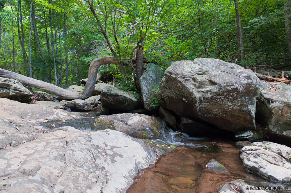 Shenandoah National Park Baum woody plant Landschaft Wald vascular plant Fluss Stein Wasser Fels Park im freien Bäume Reisen Pflanze Stream Sommer natürliche Szenerie im freien Berg Frühling Saison landschaftlich Belaubung Holz Wasserfall Umgebung Creek Blatt Tourismus friedliche Felsen Tropischer Blätter alt Kiefer Wild Sonne Himmel Hölzer Entwicklung des ländlichen fließende See fallen Moos Dschungel gelassene platsch sonnig Wildnis Gras Insel Landschaft Zaun nass Sonnenlicht Steinmauer Kofferraum Licht Strömung Ökologie Frieden Ozean nationalen felsigen Zweige Bewegung frisch Garten Tourist Herbst Pflanzen Barrier Berge Ruhe entspannende am Morgen Flora Land Pfau tree woody plant landscape forest vascular plant river stone water rock park outdoor trees travel plant stream summer natural scenery outdoors mountain spring season scenic foliage wood waterfall environment creek leaf tourism peaceful rocks tropical leaves old pine wild sun sky woods rural flowing lake fall moss jungle serene splash sunny wilderness grass island countryside fence wet sunlight stone wall trunk light flow ecology peace ocean national rocky branches motion fresh garden tourist autumn plants barrier mountains calm relaxing morning flora country peacock