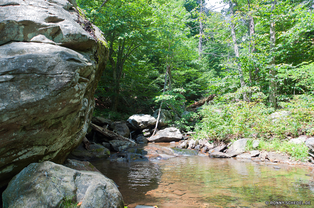 Shenandoah National Park Wald Fluss Land Baum Wasser Stream Landschaft Stein Berg Fels Sumpf Wasserfall Park woody plant Creek Feuchtgebiet im freien Bäume Umgebung Wildnis natürliche Frühling fließende Strömung friedliche Pflanze Moos Belaubung Sommer Wild fallen Berge vascular plant Szenerie Felsen landschaftlich nass im freien platsch Blätter Kaskade Bewegung ruhige Hölzer Steine Saison Blatt See Gras gelassene Frieden üppige Reisen Reinigen Teich Ruhe Kanal felsigen Szene frische Luft Entwicklung des ländlichen Bewuchs Herbst Tropischer Pflanzen glatte Holz nationalen Sonnenlicht fallen klar Licht niemand Tourismus Bach Körper des Wassers Birke Tag frisch Himmel entspannende Erholung Schlucht kalt Garten Wandern ruhig Regen idyllische Ökologie Landschaft Reflexion Drop Kühl Farben forest river land tree water stream landscape stone mountain rock swamp waterfall park woody plant creek wetland outdoor trees environment wilderness natural spring flowing flow peaceful plant moss foliage summer wild fall mountains vascular plant scenery rocks scenic wet outdoors splash leaves cascade motion tranquil woods stones season leaf lake grass serene peace lush travel clean pond calm channel rocky scene freshness rural vegetation autumn tropical plants smooth wood national sunlight falling clear light nobody tourism brook body of water birch day fresh sky relaxing recreation canyon cold garden hiking quiet rain idyllic ecology countryside reflection drop cool colors