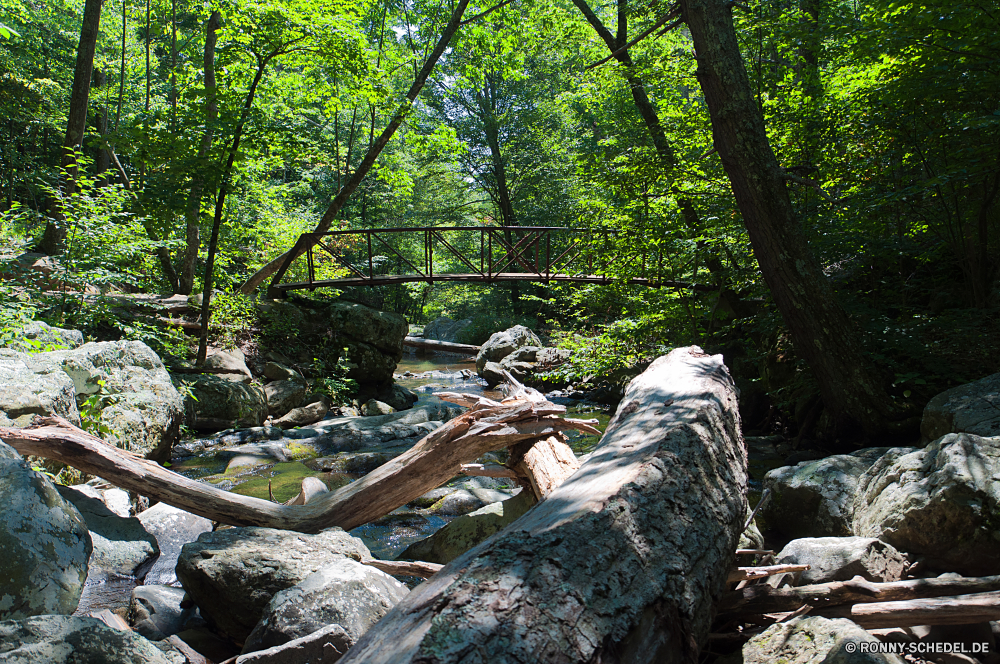 Shenandoah National Park Baum Wald Bäume Landschaft woody plant Fluss Park Holz im freien natürliche Pflanze Umgebung vascular plant im freien Hölzer Wasser Wildnis Kiefer Reisen Berg Frühling Fels Szenerie Stein Sommer Saison friedliche Wild Belaubung See landschaftlich Stream Berge Kofferraum Wandern Sonne kalt Gras Blatt Creek Wanderweg Zaun fallen Wasserfall Entwicklung des ländlichen Blätter Pfad Tag Schnee Branch nationalen Baumstumpf Brücke Protokoll Moos Herbst Dschungel Teich Winter Regen Frieden Landschaft nass Sonnenlicht Wanderung Radfahrzeug alt Tropischer Himmel zu Fuß Tourismus Pflanzen Licht entspannende ruhige Erholung Wildtiere tree forest trees landscape woody plant river park wood outdoor natural plant environment vascular plant outdoors woods water wilderness pine travel mountain spring rock scenery stone summer season peaceful wild foliage lake scenic stream mountains trunk hiking sun cold grass leaf creek trail fence fall waterfall rural leaves path day snow branch national snag bridge log moss autumn jungle pond winter rain peace countryside wet sunlight hike wheeled vehicle old tropical sky walk tourism plants light relaxing tranquil recreation wildlife