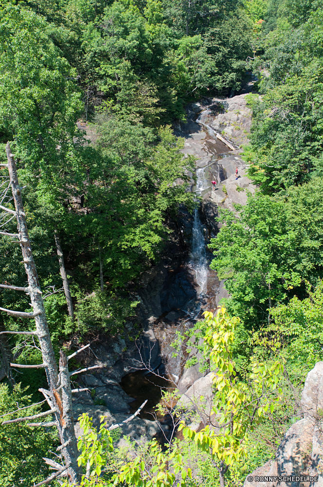 Shenandoah National Park Baum woody plant vascular plant Wald Landschaft Pflanze Bäume Park Bonsai Fluss Berg Wasser Sommer im freien Belaubung natürliche Gras Reisen Hölzer Blätter Fels im freien Stein Herbst Kiefer fallen Himmel Szene Umgebung See Szenerie Frühling landschaftlich Berge Saison Wildnis ruhige Branch Wasserfall Sonnenlicht Tag Blatt sonnig Sonne Garten Holz Entwicklung des ländlichen Stream Wild nationalen Tourismus friedliche Landschaft Licht üppige Birke silver tree Wandern Tal Pfad idyllische Felsen Hügel frisch Land alt Flora Moos Farben Kofferraum hoch Wolken Frieden nass klar Creek Landschaften Bereich Feld frische Luft Pflanzen Strömung Reflexion bunte Wachstum Architektur Land tree woody plant vascular plant forest landscape plant trees park bonsai river mountain water summer outdoors foliage natural grass travel woods leaves rock outdoor stone autumn pine fall sky scene environment lake scenery spring scenic mountains season wilderness tranquil branch waterfall sunlight day leaf sunny sun garden wood rural stream wild national tourism peaceful countryside light lush birch silver tree hiking valley path idyllic rocks hill fresh land old flora moss colors trunk high clouds peace wet clear creek scenics area field freshness plants flow reflection colorful growth architecture country