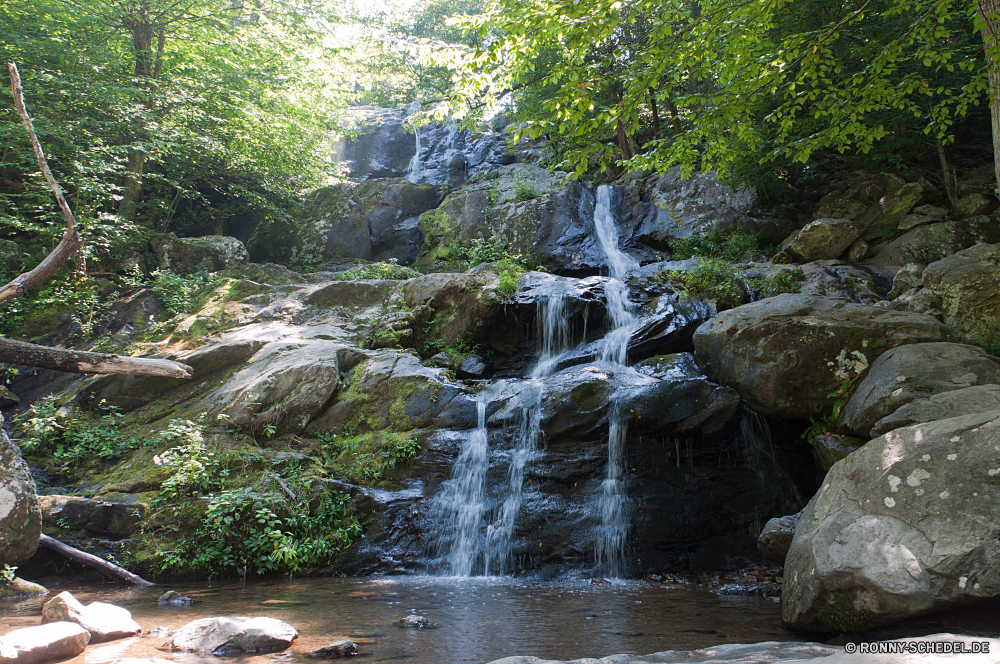 Shenandoah National Park Fluss Wasserfall Kanal Wasser Stream Wald Körper des Wassers Fels Berg Landschaft Wildnis Stein fließende Felsen Creek Frühling Kaskade fallen Moos Strömung Park im freien Baum Umgebung Bewegung Sommer Berge im freien Reisen geologische formation Wild platsch nass friedliche natürliche Reinigen rasche Szenerie fällt Bäume natürliche depression Becken Schlucht Schlucht landschaftlich fallen Tourismus ruhige Szene Herbst Hölzer glatte felsigen nationalen gelassene Belaubung Drop frisch frische Luft Steine Blatt Geschwindigkeit Wasserfälle Pflanze See üppige Tal Kühl Tropischer erfrischend Flüsse Wandern Land Blätter Tag Frieden Bereich Stromschnellen Bach Wildpflanze plantschen Abenteuer Klippe lange Erholung Gelände kalt Erhaltung Eis macht Holz Ökologie Brunnen Kaskaden SWIFT seidige Wanderung Saison sonnig Wanderweg erfrischende Landschaften Harmonie entspannende Struktur Land klar river waterfall channel water stream forest body of water rock mountain landscape wilderness stone flowing rocks creek spring cascade fall moss flow park outdoor tree environment motion summer mountains outdoors travel geological formation wild splash wet peaceful natural clean rapid scenery falls trees natural depression basin canyon ravine scenic falling tourism tranquil scene autumn woods smooth rocky national serene foliage drop fresh freshness stones leaf speed waterfalls plant lake lush valley cool tropical refreshment rivers hiking land leaves day peace range rapids brook uncultivated splashing adventure cliff long recreation terrain cold conservation ice power wood ecology fountain cascades swift silky hike season sunny trail refreshing scenics harmony relaxing structure country clear