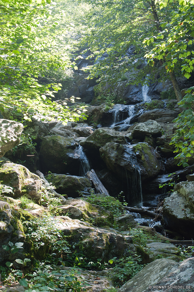 Shenandoah National Park Wald Fluss Wasser Baum Stream Landschaft Fels Stein Berg Wasserfall Land Wildnis Felsen Creek Park fließende Strömung Berge im freien im freien landschaftlich fallen natürliche nass Moos Frühling woody plant Szenerie Sommer Kaskade Bäume Umgebung Wild Bewegung friedliche platsch Reisen felsigen Belaubung Pflanze vascular plant Steine Hölzer Kanal rasche Tag nationalen Blätter gelassene Schlucht See aquatische Körper des Wassers fällt ruhige Gras Reinigen üppige fallen frische Luft frisch Ökologie Tourismus Kühl Wandern Herbst Frieden Schlucht Landschaften Szene Saison Felsbrocken Flüsse Flüssigkeit Teich Sumpf kalt Blatt niemand southern beech Geschwindigkeit Ruhe glatte Erholung Entwicklung des ländlichen Schwall Wasserfälle hoch Wanderung sonnig plantschen Bewuchs verschwommen Erhaltung macht Drop Sonne Land Himmel forest river water tree stream landscape rock stone mountain waterfall land wilderness rocks creek park flowing flow mountains outdoors outdoor scenic fall natural wet moss spring woody plant scenery summer cascade trees environment wild motion peaceful splash travel rocky foliage plant vascular plant stones woods channel rapid day national leaves serene canyon lake aquatic body of water falls tranquil grass clean lush falling freshness fresh ecology tourism cool hiking autumn peace ravine scenics scene season boulders rivers fluid pond swamp cold leaf nobody southern beech speed calm smooth recreation rural torrent waterfalls high hike sunny splashing vegetation blurred conservation power drop sun country sky