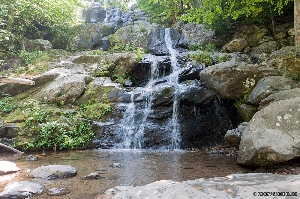 Shenandoah National Park Fluss Kanal Wasserfall Wald Stream Wasser Körper des Wassers Fels Landschaft Berg Stein Wildnis fließende Felsen Creek Frühling Kaskade im freien Strömung Park Baum Umgebung Moos Sommer fallen Wild Bewegung Bäume friedliche im freien natürliche platsch nass Berge Szenerie landschaftlich Reisen fällt Reinigen ruhige rasche fallen nationalen gelassene geologische formation Eis felsigen Hölzer Steine Schlucht frisch Belaubung Tourismus Szene glatte Land üppige Herbst Pflanze Wasserfälle Frieden Drop Schlucht Kristall Flüsse frische Luft Blatt Erholung Land Becken Tropischer Ökologie Geschwindigkeit Tag Kühl Blätter Erhaltung See Bereich Klippe natürliche depression plantschen Gras Tal Saison solide macht Holz Kaskaden Bach Wildpflanze Flüssigkeit Landschaften Abenteuer lange Ruhe erfrischend Stromschnellen klar kalt sonnig Wandern gischt Harmonie entspannende river channel waterfall forest stream water body of water rock landscape mountain stone wilderness flowing rocks creek spring cascade outdoor flow park tree environment moss summer fall wild motion trees peaceful outdoors natural splash wet mountains scenery scenic travel falls clean tranquil rapid falling national serene geological formation ice rocky woods stones canyon fresh foliage tourism scene smooth land lush autumn plant waterfalls peace drop ravine crystal rivers freshness leaf recreation country basin tropical ecology speed day cool leaves conservation lake range cliff natural depression splashing grass valley season solid power wood cascades brook uncultivated fluid scenics adventure long calm refreshment rapids clear cold sunny hiking spray harmony relaxing