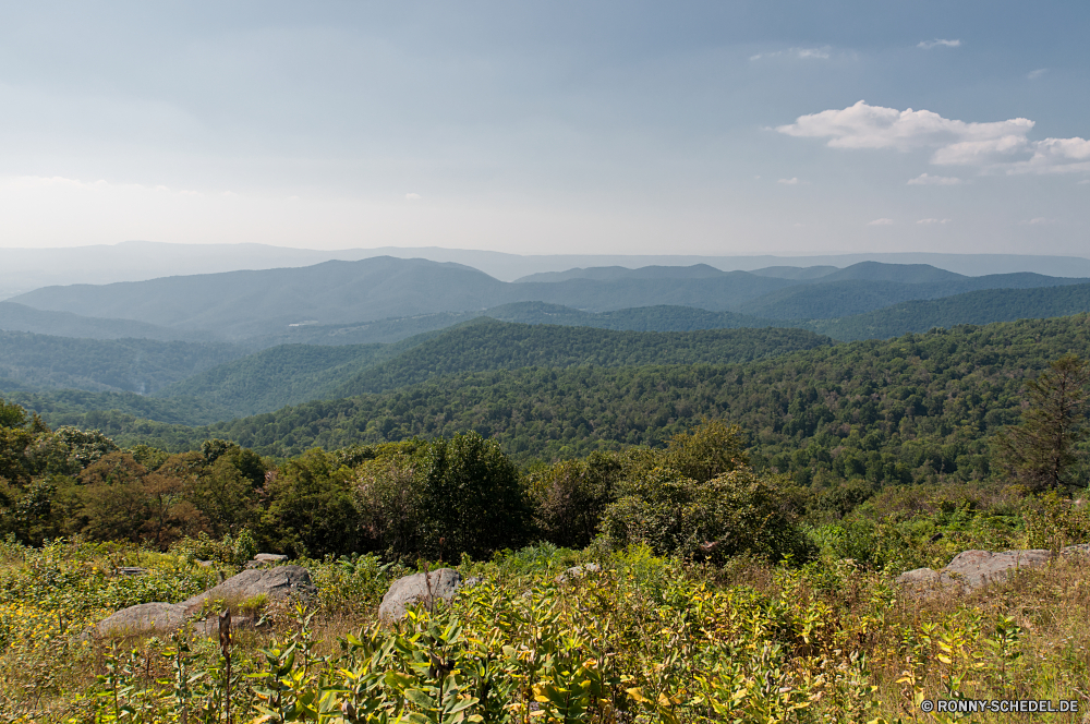 Shenandoah National Park vascular plant Landschaft Kraut Pflanze Stechginster Strauch Himmel Berg Berge Frühling Baum Gras Entwicklung des ländlichen Wiese woody plant Feld Sommer Bereich Reisen Wald Szenerie Hochland Park Landschaft landschaftlich gelb Blumen Szene im freien sonnig Landwirtschaft Wolken Blume Tal Wolke im freien Saison Sonne Herbst Umgebung nationalen Bauernhof Bäume Tourismus Spitze fallen natürliche außerhalb Wasser Land Hügel Horizont Hügel Schnee Organismus Reiner See Land Holz Flora Fluss Pflanzen Wild Wüste friedliche Wildnis Reflexion Wachstum Blätter Fels gelassene idyllische wachsen Sonnenlicht Farbe Kiefer Alpine Grünland Tag Weide bunte Panorama Landbau Blumen blühen ruhige Straße Weingut hoch Frühling felsigen Felder ruhig blühen Floral Landschaften Rasen Blüte Belaubung Licht Ruhe Wetter Sonnenuntergang hell Blatt vascular plant landscape herb plant gorse shrub sky mountain mountains spring tree grass rural meadow woody plant field summer range travel forest scenery highland park countryside scenic yellow flowers scene outdoor sunny agriculture clouds flower valley cloud outdoors season sun autumn environment national farm trees tourism peak fall natural outside water country hill horizon hills snow organism plain lake land wood flora river plants wild desert peaceful wilderness reflection growth leaves rock serene idyllic grow sunlight color pine alpine grassland day pasture colorful panorama farming blossom tranquil road vineyard high springtime rocky fields quiet blooming floral scenics lawn bloom foliage light calm weather sunset bright leaf