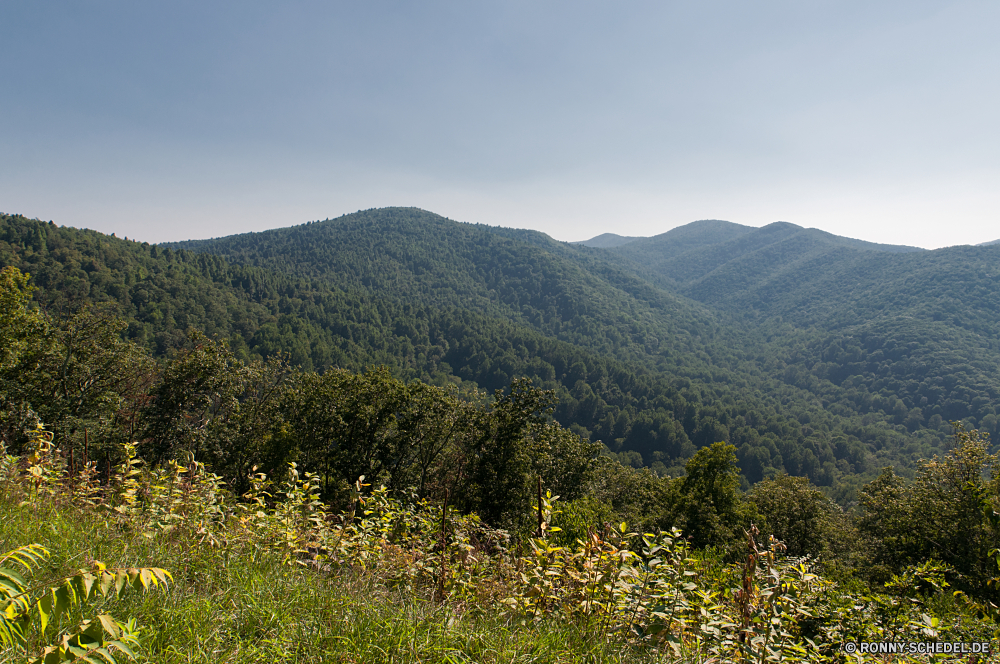 Shenandoah National Park Bereich Berg Landschaft Hochland Berge Himmel Reisen Wald Tal Baum Park Schnee Sommer nationalen Spitze Fels Szenerie Wildnis Tourismus landschaftlich im freien Fluss Gras Wasser Wolken im freien Wolke Hügel Frühling Wiese Stein Bäume See hoch Alpine Entwicklung des ländlichen Umgebung sonnig Kiefer Ruhe natürliche Hügel Gletscher Pflanze Wild Szene friedliche Landschaft felsigen Wandern Panorama Straße Horizont Herbst Stream fallen Spitzen Grat Mount übergeben Holz Reflexion Land ruhig Tag Busch außerhalb gelassene Feld vascular plant ruhige Nationalpark Abenteuer Pfad Felsen Kraut Wüste Sonne am Morgen Alp Flora Strauch Landwirtschaft Saison range mountain landscape highland mountains sky travel forest valley tree park snow summer national peak rock scenery wilderness tourism scenic outdoors river grass water clouds outdoor cloud hill spring meadow stone trees lake high alpine rural environment sunny pine calm natural hills glacier plant wild scene peaceful countryside rocky hiking panorama road horizon autumn stream fall peaks ridge mount pass wood reflection country quiet day bush outside serene field vascular plant tranquil national park adventure path rocks herb desert sun morning alp flora shrub agriculture season