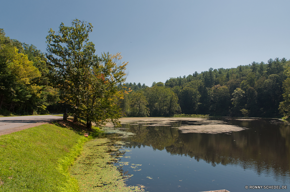 Blue Ridge Parkway Landschaft See Wasser Fluss Baum Sumpf Wald Land Reflexion Feuchtgebiet Bäume Himmel Teich Gras Kanal Ufer Sommer Körper des Wassers im freien Park Entwicklung des ländlichen Reisen am See Umgebung ruhige Szenerie landschaftlich friedliche Berg Pflanze Hölzer im freien woody plant Wolken Ruhe natürliche Frühling Holz Wildnis Tourismus Szene Sonne Wolke ruhig Blatt Berge vascular plant Landschaft Saison Herbst sonnig Belaubung Stream Feld Land idyllische Farbe Kiefer Weide Wiese Erholung klar Birke Entspannung Sonnenlicht Landschaften England gelassene Rest nicht Städtisches Wild Spiegel bunte Urlaub Küste Brücke üppige Felsen Urlaub am Morgen Urlaub reflektieren Zweige Busch Bereich Erhaltung Freizeit gelb nationalen Bootshaus niemand landscape lake water river tree swamp forest land reflection wetland trees sky pond grass channel shore summer body of water outdoors park rural travel lakeside environment tranquil scenery scenic peaceful mountain plant woods outdoor woody plant clouds calm natural spring wood wilderness tourism scene sun cloud quiet leaf mountains vascular plant countryside season autumn sunny foliage stream field country idyllic color pine willow meadow recreation clear birch relaxation sunlight scenics england serene rest non urban wild mirror colorful vacation coast bridge lush rocks vacations morning holiday reflect branches bush area conservation leisure yellow national boathouse nobody