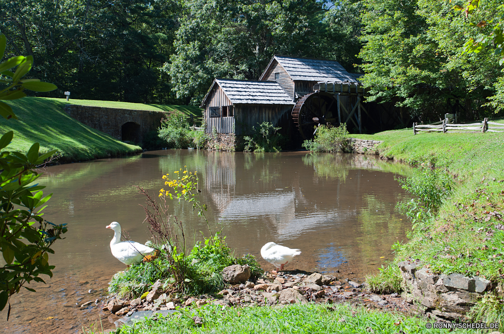 Blue Ridge Parkway Garten Wasser Fluss Landschaft Baum Gras Bäume Gebäude Bootshaus See Wald Park Teich Sommer Schuppen Architektur Brücke Himmel Entwicklung des ländlichen Haus Nebengebäude Struktur alt Land Tourismus Reisen ruhige landschaftlich Stein Fels im freien Berg Reflexion fallen Frühling Pfad friedliche Landschaft Szenerie Stadt natürliche Stream Tag im freien Kanal Umgebung Tal Herbst England Antike sonnig Belaubung Ruhe Pflanze gelassene Berge traditionelle Wahrzeichen Urlaub Geschichte Landschaftsbau klar Japan Blatt Kultur historische Wolken Hügel Resort Frieden Tourist Pavillon bunte Blätter Palast Blumen Saison Szene Wohn Landschaften Tempel Gartenarbeit Reise Holz Pflanzen historischen Sonne Startseite Körper des Wassers niemand garden water river landscape tree grass trees building boathouse lake forest park pond summer shed architecture bridge sky rural house outbuilding structure old country tourism travel tranquil scenic stone rock outdoors mountain reflection fall spring path peaceful countryside scenery city natural stream day outdoor channel environment valley autumn england ancient sunny foliage calm plant serene mountains traditional landmark vacation history landscaping clear japan leaf culture historical clouds hill resort peace tourist pavilion colorful leaves palace flowers season scene residential scenics temple gardening journey wood plants historic sun home body of water nobody