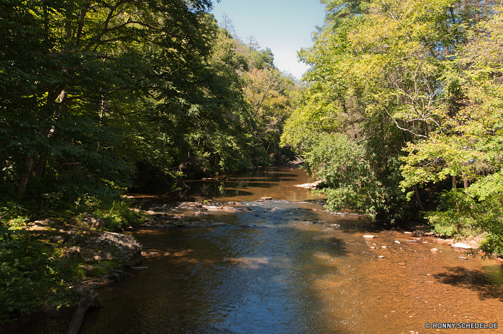 Blue Ridge Parkway Baum Wald Fluss Landschaft woody plant white mangrove Bäume Wasser Park vascular plant Land landschaftlich Szenerie Berg Kanal fallen im freien natürliche Umgebung Pflanze Hölzer Entwicklung des ländlichen Herbst Stream Frühling Himmel Körper des Wassers See Gras Sommer Stein Landschaft im freien Fels Wildnis Belaubung Saison Reisen Holz Creek Blätter friedliche ruhige Teich Garten Berge Blatt Szene bunte Land Tourismus klar Wild Brücke Reinigen Sonnenlicht Urlaub sonnig Tag Sumpf üppige Tal Ruhe Frieden Sonne frisch Moos Reflexion Ufer fließende Wolken frische Luft Farbe Waldland Wasserfall Schlucht Wandern Busch Landschaften England Pfad idyllische Felsen nationalen Straße Feuchtgebiet nass gelb ruhig Pflanzen Strömung Ökologie am Morgen Sonnenuntergang hell Farben tree forest river landscape woody plant white mangrove trees water park vascular plant land scenic scenery mountain channel fall outdoor natural environment plant woods rural autumn stream spring sky body of water lake grass summer stone countryside outdoors rock wilderness foliage season travel wood creek leaves peaceful tranquil pond garden mountains leaf scene colorful country tourism clear wild bridge clean sunlight vacation sunny day swamp lush valley calm peace sun fresh moss reflection shore flowing clouds freshness color woodland waterfall canyon hiking bush scenics england path idyllic rocks national road wetland wet yellow quiet plants flow ecology morning sunset bright colors