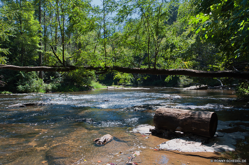 Blue Ridge Parkway Wald Fluss Landschaft Baum Wasser Kanal Stream Land Körper des Wassers Bäume Park Stein Sumpf Berg Fels im freien Umgebung natürliche Creek Feuchtgebiet See landschaftlich fallen Reisen Wild Wildnis Wasserfall Sommer Szenerie Saison Berge Herbst Entwicklung des ländlichen Frühling Belaubung Hölzer Pflanze Moos Himmel Wandern Holz woody plant Szene üppige Gras friedliche ruhige frisch Felsen fließende Strömung Landschaft im freien Teich Tourismus Urlaub Land Blätter Garten Blatt Pfad Ufer am Morgen Kaskade vascular plant Wanderweg Steine bunte Reinigen Ruhe Frieden Reflexion Sonnenlicht Farben durch Brücke sonnig platsch glatte nationalen am See Kiefer Nationalpark klar felsigen England Wolken frische Luft Müll white mangrove Ökologie Drop Sonne Erholung nass Tag forest river landscape tree water channel stream land body of water trees park stone swamp mountain rock outdoor environment natural creek wetland lake scenic fall travel wild wilderness waterfall summer scenery season mountains autumn rural spring foliage woods plant moss sky hiking wood woody plant scene lush grass peaceful tranquil fresh rocks flowing flow countryside outdoors pond tourism vacation country leaves garden leaf path shore morning cascade vascular plant trail stones colorful clean calm peace reflection sunlight colors through bridge sunny splash smooth national lakeside pine national park clear rocky england clouds freshness rubbish white mangrove ecology drop sun recreation wet day