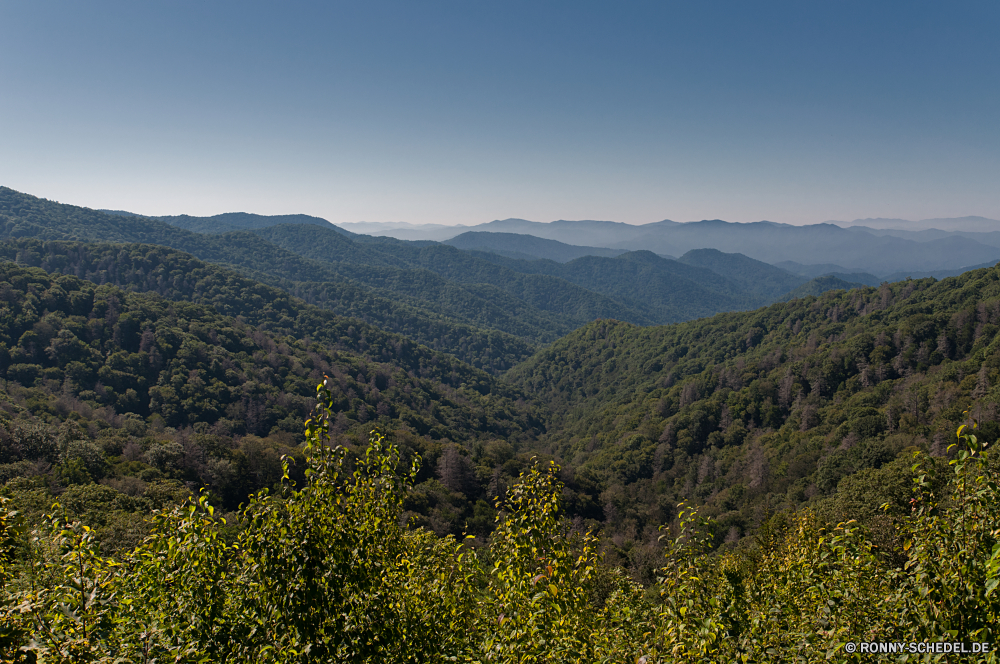 Great Smoky Mountains National Park Bereich Landschaft Berg Berge Hochland Stechginster Wald Strauch Tal Baum Park Reisen woody plant Himmel Bäume Wildnis Szenerie nationalen vascular plant Sommer landschaftlich Fels im freien Fluss Wolke Tourismus Gras Pflanze im freien Hügel Spitze Wasser Herbst Schnee See fallen Wolken Stein Panorama natürliche hoch Umgebung Wild Landschaft Straße Wiese Holz Wandern Entwicklung des ländlichen außerhalb friedliche Ruhe Frühling Tag Alpen Alpine Hügel Urlaub gelb Kiefer Szene sonnig Schlucht Feld felsigen Bewuchs Hölzer Wüste ruhige Horizont Land übergeben ruhig Busch Norden Saison gelassene Pflanzen Farbe Belaubung Reflexion Flora Sonne Licht bunte Spitzen Blätter Pfad Stream Nach oben Tourist Land Sonnenuntergang Schlucht Blatt range landscape mountain mountains highland gorse forest shrub valley tree park travel woody plant sky trees wilderness scenery national vascular plant summer scenic rock outdoors river cloud tourism grass plant outdoor hill peak water autumn snow lake fall clouds stone panorama natural high environment wild countryside road meadow wood hiking rural outside peaceful calm spring day alps alpine hills vacation yellow pine scene sunny canyon field rocky vegetation woods desert tranquil horizon country pass quiet bush north season serene plants color foliage reflection flora sun light colorful peaks leaves path stream top tourist land sunset ravine leaf