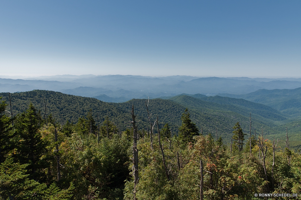 Great Smoky Mountains National Park Bereich Berg Landschaft Berge Baum Wald Bäume Himmel Park Wildnis Tal Reisen nationalen Schnee im freien Fluss Wolke Gras Sommer Szenerie landschaftlich Hochland Wolken Tourismus Hölzer Wasser See Herbst Spitze Kiefer hoch woody plant im freien Hügel Fels Wandern Tanne Umgebung fallen vascular plant Urlaub Frühling Entwicklung des ländlichen Pflanze Szene friedliche natürliche Stein Stream sonnig Alpine Hügel Land Holz Alpen Panorama Wild Saison Landschaft felsigen Land Weide Norden Farbe Tag Pflanzen Nach oben Belaubung ruhige übergeben Rasen Tourist Straße Rocky mountains MT Blätter Mount Jahreszeiten Schlucht Feld Reflexion gelb am Morgen Horizont Wiese range mountain landscape mountains tree forest trees sky park wilderness valley travel national snow outdoors river cloud grass summer scenery scenic highland clouds tourism woods water lake autumn peak pine high woody plant outdoor hill rock hiking fir environment fall vascular plant vacation spring rural plant scene peaceful natural stone stream sunny alpine hills land wood alps panorama wild season countryside rocky country pasture north color day plants top foliage tranquil pass lawn tourist road rocky mountains mt leaves mount seasons canyon field reflection yellow morning horizon meadow