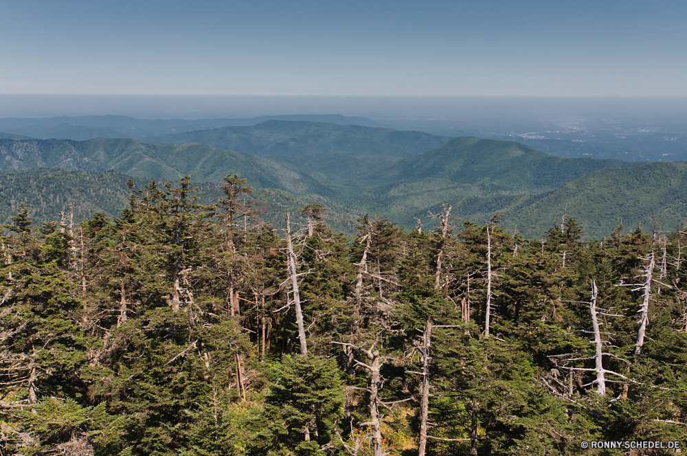 Great Smoky Mountains National Park Baum Tanne Landschaft Wald Kiefer Berg Berge Bäume Himmel woody plant Baumstumpf Park Bereich Reisen im freien Wildnis landschaftlich Schnee Hölzer Szenerie Tal vascular plant nationalen Fluss im freien Wolken Sommer Pflanze Wasser Fels Urlaub Wandern Holz Herbst Szene Wolke Spitze natürliche Tourismus Wild Saison Umgebung hoch sonnig See Schlucht Winter felsigen Entwicklung des ländlichen Hügel Belaubung Gras Alpine Straße kalt Sonnenlicht immergrün Birke Hügel Hängebrücke Landschaften Stream Brücke fallen Blätter Stein Alpen Landschaften Kofferraum Frost Nach oben friedliche Freiheit Wetter Farbe Struktur Steigung Land Frühling tree fir landscape forest pine mountain mountains trees sky woody plant snag park range travel outdoors wilderness scenic snow woods scenery valley vascular plant national river outdoor clouds summer plant water rock vacation hiking wood autumn scene cloud peak natural tourism wild season environment high sunny lake canyon winter rocky rural hill foliage grass alpine road cold sunlight evergreen birch hills suspension bridge scenics stream bridge fall leaves stone alps landscapes trunk frost top peaceful freedom weather color structure slope land spring