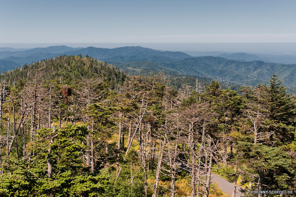 Great Smoky Mountains National Park Baum Landschaft Berg woody plant Bereich Himmel Wald Berge vascular plant Wildnis Bäume Park Reisen im freien nationalen Sommer landschaftlich Pflanze Gras Wolke Herbst Urlaub Szenerie Tal See Fels Umgebung Kiefer Wolken Wandern Fluss Wasser im freien sonnig Hochland Tourismus hoch Hölzer Hügel Spitze Schnee Saison Szene natürliche Stein Tag fallen Hügel Frühling Strauch Sonnenlicht Entwicklung des ländlichen Bereich Wiese Land Wild niemand friedliche ruhige Sonne Kraut majestätisch Meer bunte Panorama Abenteuer Nach oben Blätter Blatt felsigen Panorama Erhaltung Rasen Feld Pflanzen Belaubung Landschaft gelb Birke Farbe Straße Land tree landscape mountain woody plant range sky forest mountains vascular plant wilderness trees park travel outdoors national summer scenic plant grass cloud autumn vacation scenery valley lake rock environment pine clouds hiking river water outdoor sunny highland tourism high woods hill peak snow season scene natural stone day fall hills spring shrub sunlight rural area meadow land wild nobody peaceful tranquil sun herb majestic sea colorful panorama adventure top leaves leaf rocky panoramic conservation lawn field plants foliage countryside yellow birch color road country