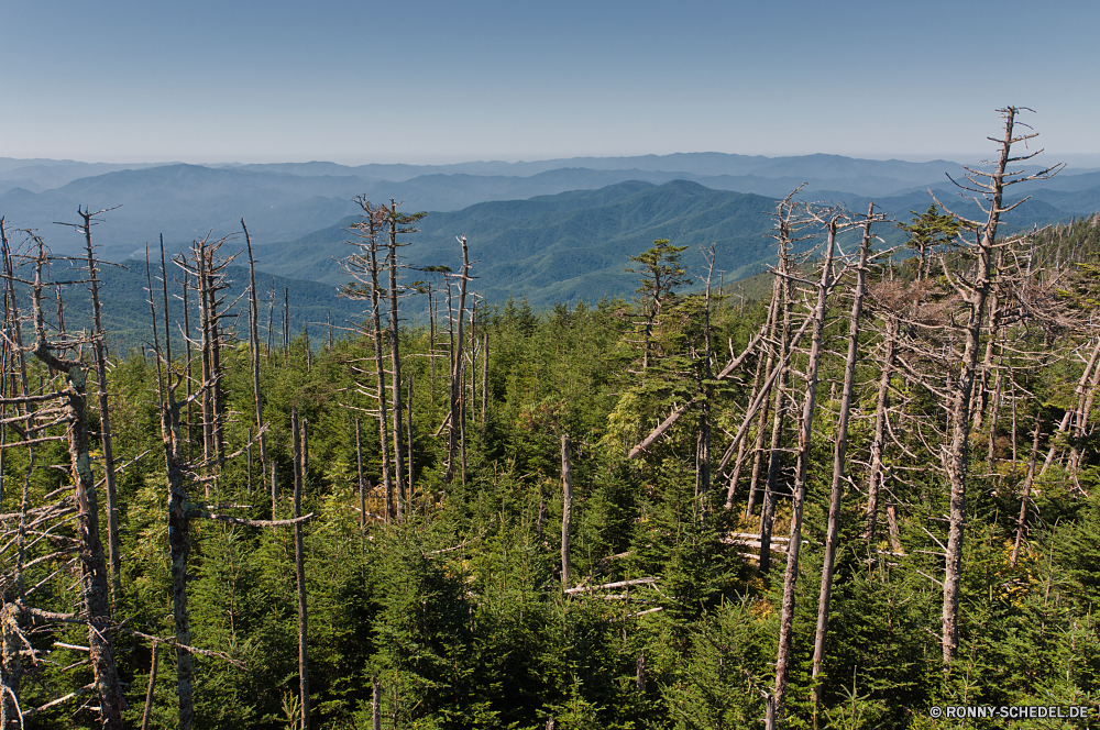 Great Smoky Mountains National Park Kabel Strom Himmel hoch macht Baum Industrie Energie Spannung Elektro Industrielle Turm Pole Position Draht Struktur Linie Technologie Landschaft Übertragung Versorgung elektrische Umgebung Pflanze Verteilung Stahl Kiefer Netzwerk Metall Sonnenuntergang Kabel Antenne woody plant Mast Stab Park Linien im freien Bäume Birke aktuelle Bahnhof Wald Transformator Wolken Ausrüstung groß klar Drähte Bau Gefahr vascular plant Kontur Baumstumpf Sonne Wolke Sommer Volt im freien Holz Berg Szene Ingenieurwesen Reisen Verbindung Verdrahtung Spannung Mast Licht Sonnenlicht Wasser Dämmerung Gras Tag niemand Kommunikation Watt Infrastruktur Sumpf Urban Wild Land natürliche Saison Feld Stadt Farbe Umweltverschmutzung Frühling System Berge globale Hängebrücke Brücke Dirigent Anlage Dienstprogramm Säule Türme Feuchtgebiet Hölzer verbinden Umwelt- dunkel 'Nabend nationalen Gebäude Fluss Entwicklung des ländlichen cable electricity sky high power tree industry energy voltage electric industrial tower pole wire structure line technology landscape transmission supply electrical environment plant distribution steel pine network metal sunset cables antenna woody plant pylon rod park lines outdoor trees birch current station forest transformer clouds equipment tall clear wires construction danger vascular plant silhouette snag sun cloud summer volt outdoors wood mountain scene engineering travel connection wiring tension mast light sunlight water dusk grass day nobody communication watt infrastructure swamp urban wild land natural season field city color pollution spring system mountains global suspension bridge bridge conductor facility utility pillar towers wetland woods connect environmental dark evening national building river rural