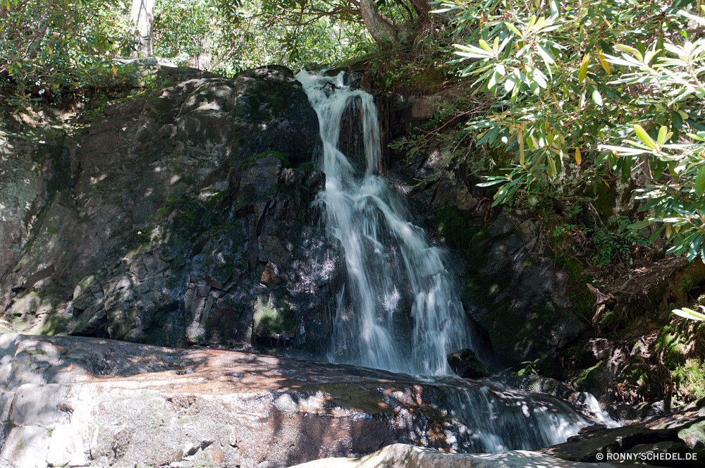 Great Smoky Mountains National Park Eis Wasserfall Fluss Kristall Stream Wasser Fels solide Wald Landschaft Stein Kaskade fließende Umgebung fällt Felsen Berg fallen Bewegung Strömung Park Moos im freien Wildnis Frühling Reisen fallen Creek friedliche platsch Wild im freien Baum Bäume natürliche Berge Sommer nass landschaftlich glatte ruhige Kanal Reinigen Szene gelassene felsigen Pflanze Brunnen Tourismus Wasserfälle rasche Belaubung Kraut Steine Hölzer Szenerie Körper des Wassers frisch nationalen Kühl üppige Herbst Blatt Flüsse Geschwindigkeit plantschen Struktur frische Luft vascular plant Drop Abenteuer Erhaltung kalt Ökologie verschwommen erfrischende Land Frieden macht SWIFT Bach gischt klar Tropischer Tag Farbe Stromschnellen Wanderung Wandern Schlucht Harmonie Saison See entspannende erfrischend Erholung Klippe Kaskaden Holz Gras Bereich Extreme Bereich Entspannung Schlucht Blätter niemand ice waterfall river crystal stream water rock solid forest landscape stone cascade flowing environment falls rocks mountain fall motion flow park moss outdoor wilderness spring travel falling creek peaceful splash wild outdoors tree trees natural mountains summer wet scenic smooth tranquil channel clean scene serene rocky plant fountain tourism waterfalls rapid foliage herb stones woods scenery body of water fresh national cool lush autumn leaf rivers speed splashing structure freshness vascular plant drop adventure conservation cold ecology blurred refreshing country peace power swift brook spray clear tropical day color rapids hike hiking ravine harmony season lake relaxing refreshment recreation cliff cascades wood grass range extreme area relaxation canyon leaves nobody