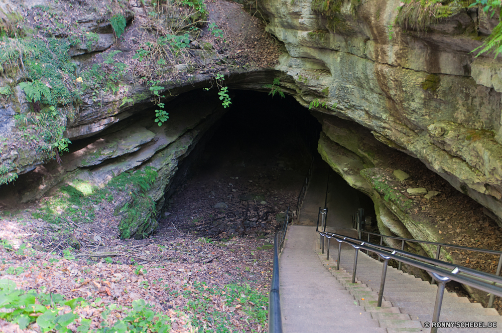 Mammoth Cave National Park Wald Baum Landschaft Tunnel Stein Schritt Park Fluss Wasser Durchgang Unterstützung Durchgang Bäume im freien Stream friedliche Fels Hölzer Art und Weise Belaubung natürliche Reisen Mauer Berg Gerät Garten im freien Frühling Wasserfall Umgebung Pfad Moos ruhige Szenerie Blatt Straße alt Sommer fallen Gras Herbst landschaftlich Berge Creek Höhle Pflanze Blätter Wild Kanal Brücke Wildnis Entwicklung des ländlichen Holz Teich Bewuchs Körper des Wassers Frieden Schlucht üppige Busch zu Fuß Felsen fließende außerhalb Tropischer Ruhe frische Luft geologische formation Urlaub Wanderung Dschungel durch Wandern ruhig Szene gelassene Saison Stoffwechselweg Farbe Gehweg Kaskade Land Tag Architektur niemand Fuß Regen idyllische Reinigen Pflanzen See Sonne nass Wanderweg frisch Leben Wanderweg woody plant Gebäude Tourismus Strömung Branch gelb bunte forest tree landscape tunnel stone step park river water passageway support passage trees outdoors stream peaceful rock woods way foliage natural travel wall mountain device garden outdoor spring waterfall environment path moss tranquil scenery leaf road old summer fall grass autumn scenic mountains creek cave plant leaves wild channel bridge wilderness rural wood pond vegetation body of water peace canyon lush bush walk rocks flowing outside tropical calm freshness geological formation vacation hike jungle through hiking quiet scene serene season pathway color walkway cascade country day architecture nobody walking rain idyllic clean plants lake sun wet footpath fresh life trail woody plant building tourism flow branch yellow colorful