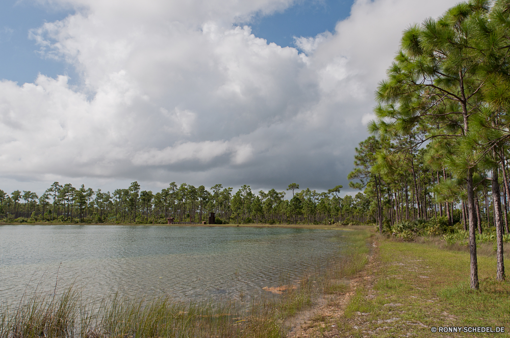 Everglades National Park am See Ufer See Wasser Landschaft Fluss Himmel Wald Baum Kanal Reflexion Bäume Körper des Wassers Sommer landschaftlich Wolken im freien Berg Teich Park Gras ruhige Wolke Umgebung Reisen Szenerie Becken Sonne Entwicklung des ländlichen Hölzer im freien Sumpf Holz natürliche depression Fels Szene Urlaub idyllische Tourismus Land Pflanze Küste Frühling natürliche geologische formation friedliche Ruhe Stein Stream Berge Urlaub Landschaft Meer gelassene Ozean Insel Wildnis ruhig Land Wild sonnig Küstenlinie Sonnenlicht Strand klar Feuchtgebiet Farbe Saison Sandbank Wiese Kiefer Gelände Bewuchs niemand Felsen Resort Rest Horizont Herbst England Bucht Reinigen Barrier Tourist am Morgen Sonnenuntergang Erholung Blatt lakeside shore lake water landscape river sky forest tree channel reflection trees body of water summer scenic clouds outdoors mountain pond park grass tranquil cloud environment travel scenery basin sun rural woods outdoor swamp wood natural depression rock scene vacation idyllic tourism land plant coast spring natural geological formation peaceful calm stone stream mountains holiday countryside sea serene ocean island wilderness quiet country wild sunny shoreline sunlight beach clear wetland color season sandbar meadow pine terrain vegetation nobody rocks resort rest horizon autumn england bay clean barrier tourist morning sunset recreation leaf