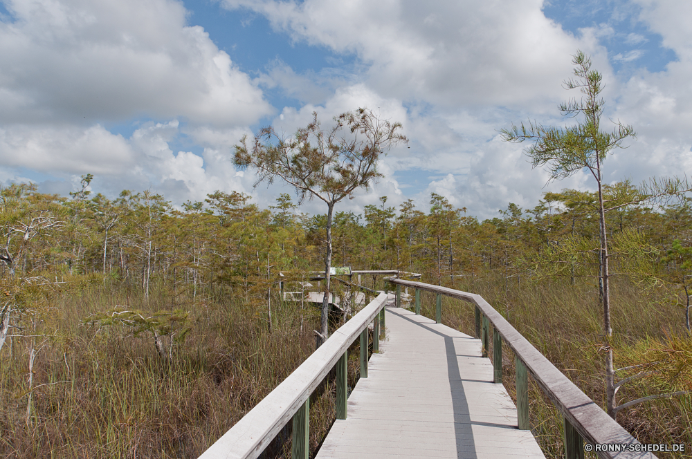 Everglades National Park Reling Landschaft Track Straße Himmel Entwicklung des ländlichen Bäume Reisen landschaftlich Zaun Baum Sommer Wald Barrier Wolken Wasser Art und Weise Gras Transport Wolke im freien Park Szenerie Küste Pfad Berg Reise Feld Holz Land See im freien Obstruktion Horizont bewölkt sonnig Eisenbahn Strand Reise Urlaub Schritt Brücke Autobahn Lattenzaun Ufer Unterstützung Ozean aus Holz Tag Verkehr Meer Struktur Asphalt Fluss Berge Wetter Landschaft Eisenbahn Gerät gerade Herbst Sand Industrie Umgebung Stahl Wanderweg Fels Zug Szene Saison außerhalb Laufwerk Perspektive Pflanze Stein Land alt Schiene Gehweg niemand Küste natürliche Straße Branch fallen Wiese Sonnenlicht Architektur railing landscape track road sky rural trees travel scenic fence tree summer forest barrier clouds water way grass transportation cloud outdoor park scenery coast path mountain journey field wood country lake outdoors obstruction horizon cloudy sunny railway beach trip vacation step bridge highway picket fence shore support ocean wooden day transport sea structure asphalt river mountains weather countryside railroad device straight autumn sand industry environment steel trail rock train scene season outside drive perspective plant stone land old rail walkway nobody coastline natural street branch fall meadow sunlight architecture