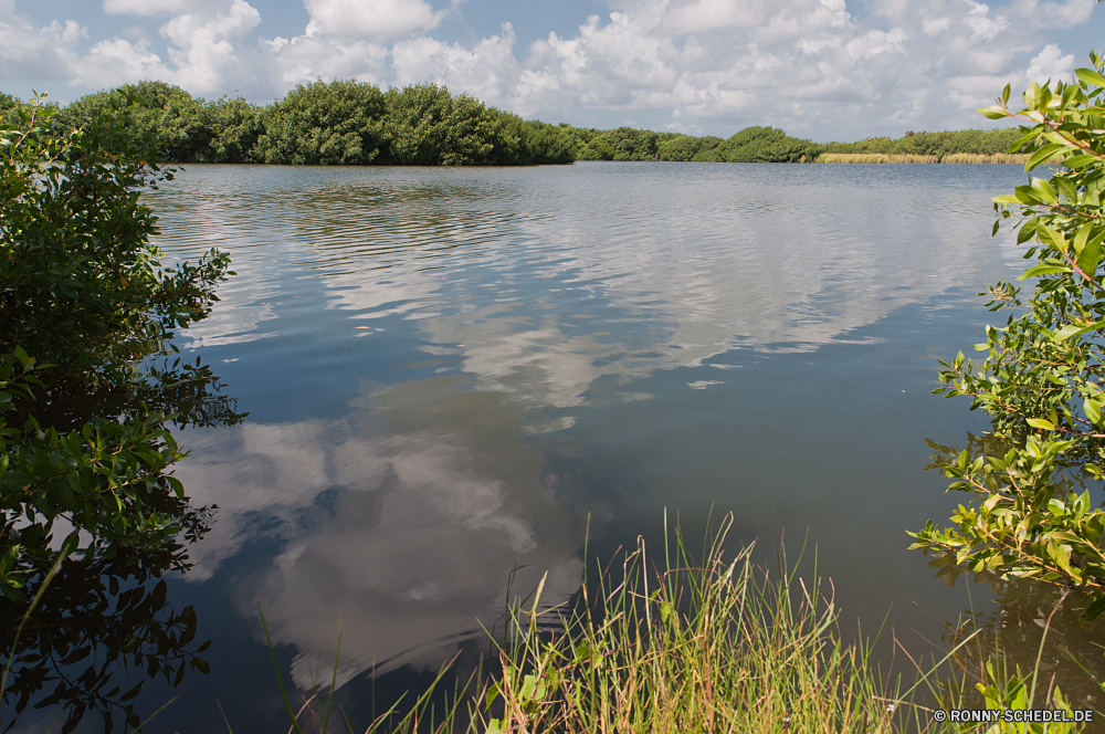 Everglades National Park am See Ufer See Wasser Landschaft Wald Reflexion Himmel Fluss Baum Teich Park Bäume Sommer Gras landschaftlich Wolken im freien Entwicklung des ländlichen ruhige Umgebung Reisen Berg Szene Szenerie Sonne Pflanze Saison Wolke Wildnis natürliche im freien Urlaub Sumpf Körper des Wassers Hölzer Tourismus Wild sonnig Ruhe Sonnenuntergang Küste friedliche Landschaft Land ruhig klar Berge Sonnenlicht Erhaltung gelassene idyllische Feld Holz Feuchtgebiet Wiese Gelände Land Frühling Insel nationalen am Morgen Spiegel Rest Ozean Wildtiere Farbe Bewuchs Urlaub Felsen Stein Horizont Herbst Sumpf bunte Meer Kiefer niemand reflektieren außerhalb Busch Landschaften Pflanzen Frieden Erholung Bank Blatt lakeside shore lake water landscape forest reflection sky river tree pond park trees summer grass scenic clouds outdoors rural tranquil environment travel mountain scene scenery sun plant season cloud wilderness natural outdoor vacation swamp body of water woods tourism wild sunny calm sunset coast peaceful countryside land quiet clear mountains sunlight conservation serene idyllic field wood wetland meadow terrain country spring island national morning mirror rest ocean wildlife color vegetation holiday rocks stone horizon autumn marsh colorful sea pine nobody reflect outside bush scenics plants peace recreation bank leaf