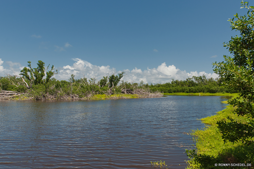 Everglades National Park am See Ufer See Wasser Landschaft Himmel Körper des Wassers Reflexion Fluss Wald Baum Bäume Sommer Park Becken Kanal landschaftlich Reisen Berg Tourismus im freien Teich Szenerie Gras natürliche depression Wolken im freien Küste Sonne geologische formation Wolke ruhige Umgebung sonnig natürliche Szene idyllische Holz Entwicklung des ländlichen Meer Berge Urlaub Insel Bucht Hölzer Ozean friedliche Pflanze Frühling Strand Ruhe Küstenlinie Urlaub Fels Horizont Wildnis Felsen Landschaft gelassene Resort Land Stein Erholung Sonnenlicht Farbe Boot Küste Saison Entspannung Tourist nationalen Sand Herbst klar Stream Palm Ziel Rest am Morgen Land bunte Blatt Gelände außerhalb ruhig Kiefer Urlaub Hügel Wiese niemand lakeside shore lake water landscape sky body of water reflection river forest tree trees summer park basin channel scenic travel mountain tourism outdoors pond scenery grass natural depression clouds outdoor coast sun geological formation cloud tranquil environment sunny natural scene idyllic wood rural sea mountains vacation island bay woods ocean peaceful plant spring beach calm shoreline holiday rock horizon wilderness rocks countryside serene resort land stone recreation sunlight color boat coastline season relaxation tourist national sand autumn clear stream palm destination rest morning country colorful leaf terrain outside quiet pine vacations hill meadow nobody