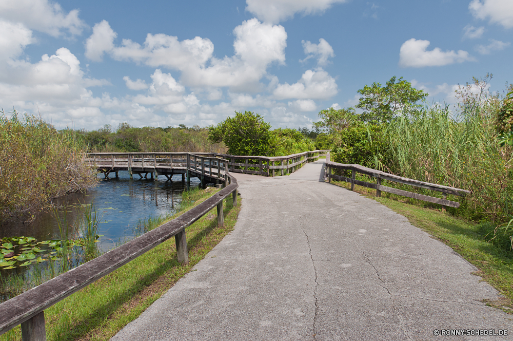 Everglades National Park Kanal Landschaft Straße Himmel Körper des Wassers Reling Wolken Wasser Reisen Barrier Ufer Entwicklung des ländlichen Wellenbrecher landschaftlich Meer Küste Wolke Küstenlinie Sommer Ozean Autobahn Baum Strand Land Asphalt Horizont Obstruktion Szenerie Fluss Reise Sand Art und Weise Brücke Struktur Insel Bäume Gras Reise Urlaub Transport im freien am See See Landschaft Autobahn Strecke Berg Laufwerk Wald Fels Sonne Anlegestelle Biegung Verkehr Feld Umgebung Berge Urlaub Holz im freien Tourismus Park Schnellstraße Land fahren Verschieben Szene Verkehr sonnig Pfad Bucht Linie idyllische Tag Küste Kurve Tropischer Perspektive Stein Wüste Auto Straße lange Geschwindigkeit Dam leere Bewegung England Hügel Ziel Boot Wetter Landwirtschaft Pflanze channel landscape road sky body of water railing clouds water travel barrier shore rural breakwater scenic sea coast cloud shoreline summer ocean highway tree beach country asphalt horizon obstruction scenery river journey sand way bridge structure island trees grass trip vacation transportation outdoor lakeside lake countryside freeway route mountain drive forest rock sun pier bend transport field environment mountains holiday wood outdoors tourism park expressway land driving moving scene traffic sunny path bay line idyllic day coastline curve tropical perspective stone desert car street long speed dam empty motion england hill destination boat weather agriculture plant