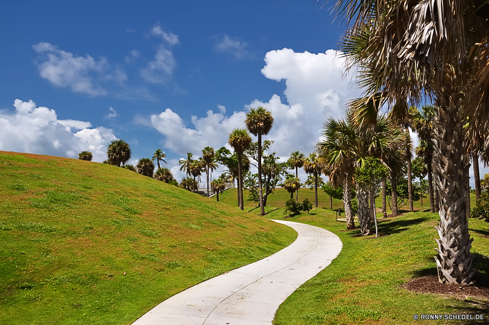 Miami Beach Baum Himmel Gras Landschaft Wolken Feld Entwicklung des ländlichen Straße Wiese Sommer landschaftlich Golf Bäume Kurs Landschaft Horizont Wolke Land Reisen Szenerie im freien Frühling Park Hügel im freien Pflanze Land Loch woody plant Art und Weise Asphalt Wald Sport Bauernhof Rasen idyllische Autobahn Landwirtschaft leere vascular plant bewölkt Berge sonnig Spiel Sand Umgebung Laufwerk Rau Szene Kugel Berg Flag Tag setzen Sonne Reise Straße Zaun Wettbewerb Strecke Linie Wetter außerhalb Saison Urlaub Fairway Golf spielen klar natürliche Knoll friedliche Transport Erholung Sonnenlicht Kurve Felder Weide Wolkengebilde Garten niemand Tropischer Pfad Reise Perspektive Holz Freizeit Tourismus Barrier Wasser Birdie Putter par Hügel Wüste Verein Paradies Ziel See nationalen tree sky grass landscape clouds field rural road meadow summer scenic golf trees course countryside horizon cloud country travel scenery outdoors spring park hill outdoor plant land hole woody plant way asphalt forest sport farm lawn idyllic highway agriculture empty vascular plant cloudy mountains sunny game sand environment drive rough scene ball mountain flag day putting sun journey street fence competition route line weather outside season vacation fairway golfing clear natural knoll peaceful transportation recreation sunlight curve fields pasture cloudscape garden nobody tropical path trip perspective wood leisure tourism barrier water birdie putter par hills desert club paradise destination lake national