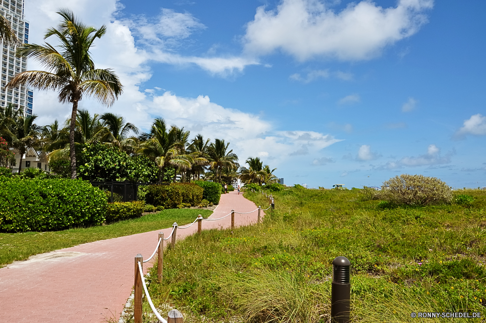 Miami Beach Baum Gras Himmel woody plant Landschaft Pflanze vascular plant Wolken Sommer Feld im freien Park Garten Entwicklung des ländlichen Reisen Friedhof Frühling Bäume Landschaft Wolke Bauernhof Wald Saison sonnig Gebäude Tourismus Szene Szenerie Wiese Land Landwirtschaft Umgebung im freien natürliche landschaftlich außerhalb Architektur Tag Flora Landbau Blätter Straße Rasen idyllische Wetter bunte Blume Pfad Hügel Haus Land Holz Stadt alt Felder gelb Wolkengebilde Struktur bewölkt Farbe Pflanzen Belaubung Branch Wahrzeichen Strauch Sonnenlicht Wasser Blatt Kultur Bewuchs Weide Sonne historischen Zaun Religion Berg tree grass sky woody plant landscape plant vascular plant clouds summer field outdoor park garden rural travel cemetery spring trees countryside cloud farm forest season sunny building tourism scene scenery meadow country agriculture environment outdoors natural scenic outside architecture day flora farming leaves road lawn idyllic weather colorful flower path hill house land wood city old fields yellow cloudscape structure cloudy color plants foliage branch landmark shrub sunlight water leaf culture vegetation pasture sun historic fence religion mountain