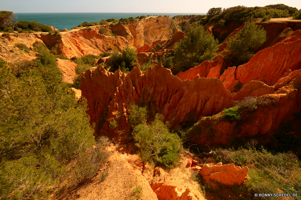  Schlucht Schlucht Tal Klippe Fels natürliche depression Landschaft Wüste Park nationalen Reisen Berg Berge Aushöhlung landschaftlich Stein Sand Himmel Orange Geologie Felge Urlaub Felsen Tourismus Baum im freien Südwesten im freien Wolken Wandern Tourist Abenteuer Wahrzeichen geologische Grand Fluss Westen Wunder Sandstein Mesa Szenerie geologische formation Bildung Welt Süden Wildnis natürliche Aussicht gelb Sommer Sonne bunte Farbe Wasser Wolke Bäume sonnig Sonnenuntergang Gelände Umgebung Reise Licht Horizont Erholung Formationen Arid Spitze Landschaften Szene Klippen felsigen Zustand Pflanze Sonnenaufgang trocken fallen Straße Sonnenlicht Herbst übersehen Tag Wald Steine Ziel Ozean Bereich Land Küste Gras Meer canyon ravine valley cliff rock natural depression landscape desert park national travel mountain mountains erosion scenic stone sand sky orange geology rim vacation rocks tourism tree outdoor southwest outdoors clouds hiking tourist adventure landmark geological grand river west wonder sandstone mesa scenery geological formation formation world south wilderness natural vista yellow summer sun colorful color water cloud trees sunny sunset terrain environment trip light horizon recreation formations arid peak scenics scene cliffs rocky state plant sunrise dry fall road sunlight autumn overlook day forest stones destination ocean range land coast grass sea