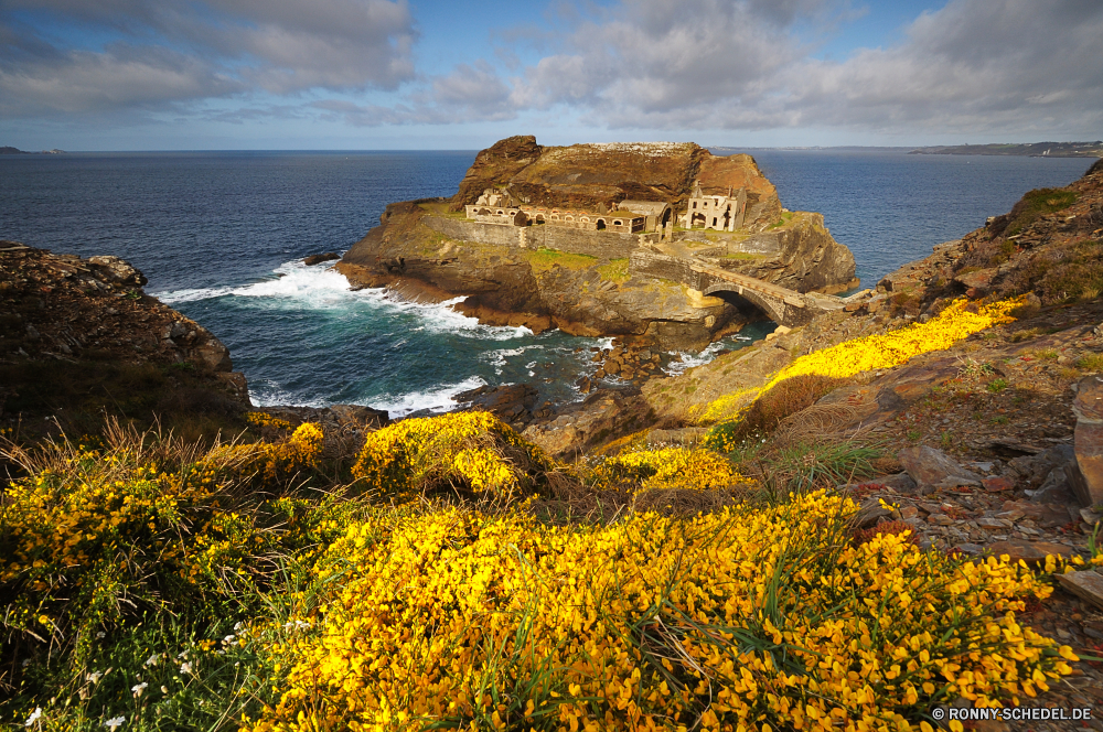 Bretagne Stechginster Strauch woody plant Meer vascular plant Küste Ozean Küste Wasser Strand Fels Landschaft Ufer Insel Urlaub Welle Reisen Pflanze Himmel Felsen Sonne Bucht Sommer Stein seelandschaft landschaftlich Vorgebirge Berg Klippe Urlaub Wellen Sand Tourismus Szenerie natürliche Höhe Küste felsigen Wolke Wetter sonnig Surf Horizont im freien Sonnenuntergang geologische formation Gezeiten friedliche am Meer Entspannen Sie sich Baum Wolken Hügel Szene Tropischer Türkis Paradies im freien Klippen Tourist Sonnenlicht Küstenlinie Wind ruhige Meeresküste England Süden Licht Ziel Urlaub Umgebung Kap Inseln klar Pazifik natürliche Tag Resort Boot Reflexion Frühling Riff Sturm Steine Entspannung Sonnenaufgang Ruhe gorse shrub woody plant sea vascular plant coast ocean coastline water beach rock landscape shore island vacation wave travel plant sky rocks sun bay summer stone seascape scenic promontory mountain cliff holiday waves sand tourism scenery natural elevation coastal rocky cloud weather sunny surf horizon outdoor sunset geological formation tide peaceful seaside relax tree clouds hill scene tropical turquoise paradise outdoors cliffs tourist sunlight shoreline wind tranquil seashore england south light destination holidays environment cape islands clear pacific natural day resort boat reflection spring reef storm stones relaxation sunrise calm