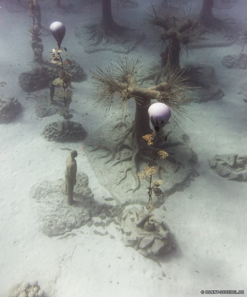  Meer Fisch Unterwasser Wirbellose Koralle Wasser Tier Ozean Marine Tropischer Riff aquatische Salzwasser Gliederfüßer Tauchen exotische Reisen Tauchgang Tauchen bunte Mollusk horseshoe crab Tourismus Urlaub sea squirt Sand Stachelhäuter Exploration Kolonie Taucher natürliche Schneckenart Strand erkunden Entspannung Leben Sonne tief Blasen Krustentier Anemone Unterwasser nass Wildtiere Sonnenlicht Farbe Traum hell Stein Tiere Aquarium Sommer Schale Orte Sonnenstrahl Wild seelandschaft im freien Strahl im freien brittle star gelb Urlaub Fluss Oberfläche sea fish underwater invertebrate coral water animal ocean marine tropical reef aquatic saltwater arthropod diving exotic travel dive scuba colorful mollusk horseshoe crab tourism vacation sea squirt sand echinoderm exploration colony diver natural gastropod beach explore relaxation life sun deep bubbles crustacean anemone undersea wet wildlife sunlight color dream bright stone animals aquarium summer shell places sunbeam wild seascape outdoor ray outdoors brittle star yellow holiday river surface