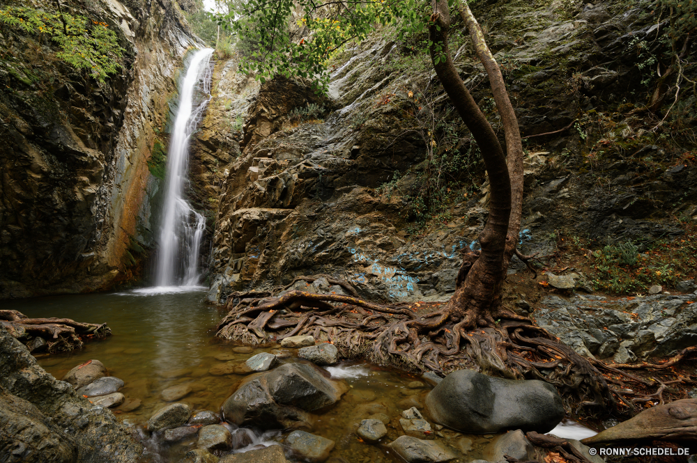  Baum Wald Wasserfall Fluss Landschaft Stream Wasser woody plant Fels im freien Park Stein Umgebung Berg Bäume natürliche landschaftlich vascular plant Creek Reisen Frühling Pflanze fallen Kaskade friedliche im freien Felsen Strömung Wildnis Moos Wild Ökologie platsch fließende Blatt Szenerie frisch Tourismus Saison fällt Kiefer Holz Sommer Belaubung Branch Hölzer Land Szene felsigen Abenteuer Bewegung nationalen Baumstumpf Bonsai Herbst Tropischer nass Dschungel Kühl üppige Land gelassene Insel glatte Wasserfälle fallen Blätter Gras Erhaltung Brunnen Reinigen Drop alt Himmel SWIFT Wanderung sonnig Steine Pflanzen Sumpf See Frieden Schlange Entwicklung des ländlichen rasche klar Wasser Schlange Garten Regen Landschaft Erholung Flora Wachstum tree forest waterfall river landscape stream water woody plant rock outdoor park stone environment mountain trees natural scenic vascular plant creek travel spring plant fall cascade peaceful outdoors rocks flow wilderness moss wild ecology splash flowing leaf scenery fresh tourism season falls pine wood summer foliage branch woods country scene rocky adventure motion national snag bonsai autumn tropical wet jungle cool lush land serene island smooth waterfalls falling leaves grass conservation fountain clean drop old sky swift hike sunny stones plants swamp lake peace snake rural rapid clear water snake garden rain countryside recreation flora growth