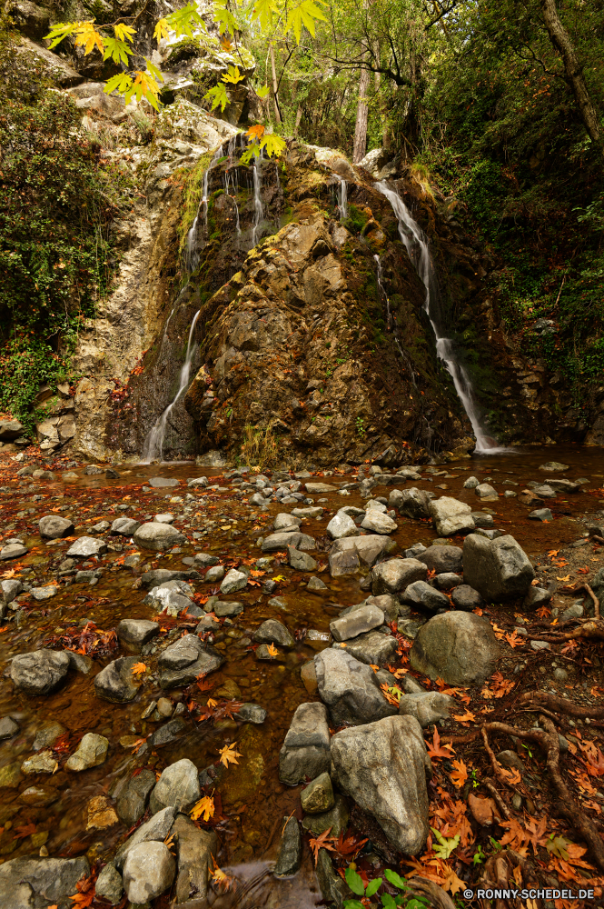  Fluss Wald Landschaft Baum Wasser Stein Tunnel Wildnis Aufstieg Fels Park Berg Stream Reisen Bäume Steigung Durchgang Wasserfall fallen im freien natürliche Berge Herbst Creek Durchgang Knoll Wild Felsen Blätter Art und Weise Moos landschaftlich Tourismus Umgebung Frühling Hölzer im freien Entwicklung des ländlichen friedliche Wandern Szenerie Sommer Belaubung Urlaub Saison Brücke Gras nass Holz gelassene klar Landschaft glatte alt Reinigen frische Luft woody plant Pfad gelb Tag Ruhe Garten Blatt bunte üppige Farben Pflanze Szene Hügel fließende Himmel Strömung entspannende ruhige Straße Kaskade felsigen Golden frisch Steine Bewegung platsch Drop Kanal Braun vascular plant Sonnenlicht Land seidige Wanderweg Busch Postkarte zu Fuß idyllische See Farbe Orange Track river forest landscape tree water stone tunnel wilderness ascent rock park mountain stream travel trees slope passageway waterfall fall outdoor natural mountains autumn creek passage knoll wild rocks leaves way moss scenic tourism environment spring woods outdoors rural peaceful hiking scenery summer foliage vacation season bridge grass wet wood serene clear countryside smooth old clean freshness woody plant path yellow day calm garden leaf colorful lush colors plant scene hill flowing sky flow relaxing tranquil road cascade rocky golden fresh stones movement splash drop channel brown vascular plant sunlight country silky trail bush postcard walk idyllic lake color orange track