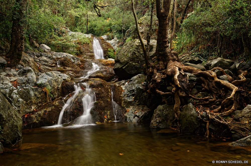  Kanal Fluss Wasserfall Körper des Wassers Wasser Wildnis Stream Wald Fels Landschaft Berg Creek Stein fallen Baum Kaskade Park im freien Moos Wild Felsen Strömung fließende Reisen Bäume Umgebung Frühling natürliche friedliche fällt Bewegung Wandern im freien Herbst landschaftlich Sommer Schlucht Berge nass frisch Tourismus platsch Szenerie rasche Reinigen Drop nationalen gelassene felsigen ruhige Steine Pflanze Wasserfälle glatte Blatt Schlucht frische Luft geologische formation fallen Tal Blätter klar Höhle plantschen Hölzer Urlaub Entwicklung des ländlichen Brücke Geschwindigkeit See entspannende seidige Wanderung Erhaltung Szene Bewegung Klippe Garten Bach Flüsse Kühl Himmel gelb Belaubung Ökologie Land steilen Farben Gras Postkarte erfrischende bunte Saison Holz Becken Ruhe Frieden Erholung natürliche depression Land üppige Abenteuer reine channel river waterfall body of water water wilderness stream forest rock landscape mountain creek stone fall tree cascade park outdoor moss wild rocks flow flowing travel trees environment spring natural peaceful falls motion hiking outdoors autumn scenic summer canyon mountains wet fresh tourism splash scenery rapid clean drop national serene rocky tranquil stones plant waterfalls smooth leaf ravine freshness geological formation falling valley leaves clear cave splashing woods vacation rural bridge speed lake relaxing silky hike conservation scene movement cliff garden brook rivers cool sky yellow foliage ecology land steep colors grass postcard refreshing colorful season wood basin calm peace recreation natural depression country lush adventure pure