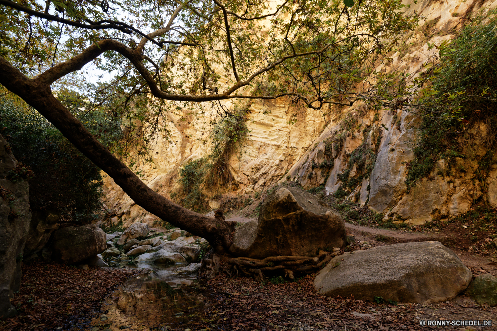  Baum woody plant Wald vascular plant Landschaft Park Bäume Herbst Pflanze Branch im freien Blätter fallen Hölzer Szenerie Fluss Umgebung Holz natürliche Belaubung landschaftlich Saison Blatt Szene Reisen im freien Entwicklung des ländlichen Wasser Zweige Himmel Kofferraum Kiefer Wildnis Berg Sommer Sonne Bonsai alt Fels Gras Land cork tree gelb Land Moos Frühling sonnig Landschaft Eiche Tourismus Wanderweg Wandern Farben Wachstum Stream Wild Rinde See nationalen Creek üppige saisonale klar Braun Golden Pfad gelassene Tag Stein Winter Insel Sumpf ruhige southern beech bunte groß Ahorn Entspannen Sie sich Garten Ökologie friedliche Straße Flora Hain Wasserfall kalt Feuchtgebiet Vorbau Frieden frisch tree woody plant forest vascular plant landscape park trees autumn plant branch outdoor leaves fall woods scenery river environment wood natural foliage scenic season leaf scene travel outdoors rural water branches sky trunk pine wilderness mountain summer sun bonsai old rock grass land cork tree yellow country moss spring sunny countryside oak tourism trail hiking colors growth stream wild bark lake national creek lush seasonal clear brown golden path serene day stone winter island swamp tranquil southern beech colorful tall maple relax garden ecology peaceful road flora grove waterfall cold wetland stem peace fresh