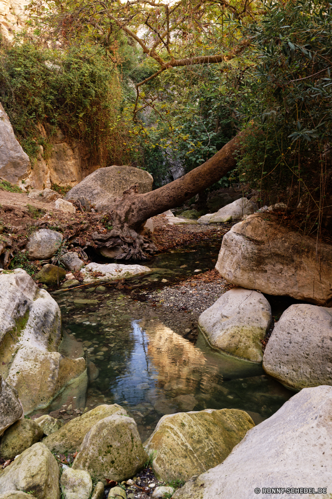  Steinmauer Fluss Zaun Baum Landschaft Wasser Wald Stein Fels Barrier Stream Berg Park Obstruktion Creek Bäume Wasserfall im freien natürliche Felsen Wild Umgebung fallen Szenerie Strömung Frühling Struktur landschaftlich im freien Moos woody plant Reisen Berge friedliche Wildnis fließende Sommer Blätter See nass platsch Kaskade Kiefer Tourismus felsigen Megalith Saison Bewegung Pflanze vascular plant Belaubung Reinigen Entwicklung des ländlichen Steine Herbst nationalen frisch Gedenkstätte Land gelassene Frieden Landschaft Drop Land Holz Szene Gras frische Luft rasche Sonnenlicht Farben Blatt Garten glatte Himmel Licht Wandern Tag kalt sonnig Hölzer Schlucht Ökologie entspannende ruhige Mauer Sonne Bach fällt klar Tal fallen Tropischer lange Ruhe Ufer Kühl stone wall river fence tree landscape water forest stone rock barrier stream mountain park obstruction creek trees waterfall outdoor natural rocks wild environment fall scenery flow spring structure scenic outdoors moss woody plant travel mountains peaceful wilderness flowing summer leaves lake wet splash cascade pine tourism rocky megalith season motion plant vascular plant foliage clean rural stones autumn national fresh memorial country serene peace countryside drop land wood scene grass freshness rapid sunlight colors leaf garden smooth sky light hiking day cold sunny woods canyon ecology relaxing tranquil wall sun brook falls clear valley falling tropical long calm shore cool