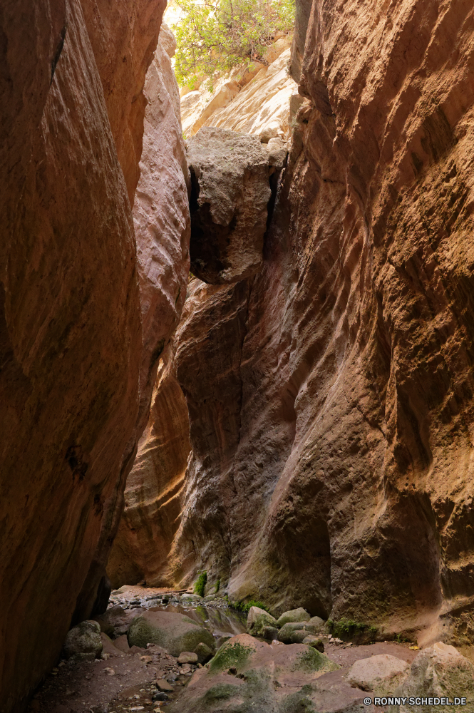  Schlucht Höhle geologische formation Fels Tal Schlucht Klippe Park Cliff-Wohnung nationalen Berg Stein Sandstein Landschaft Geologie Wohnung Wüste landschaftlich Reisen Bildung Tourismus Baum natürliche Felsen Sand Gehäuse Himmel Aushöhlung im freien Orange natürliche depression Struktur im freien Extreme Urlaub Wandern Fluss Wildnis Wasser Berge Formationen geologische Farbe Szenerie Sommer Erde Südwesten felsigen bunte Abenteuer Denkmal trocken Mauer Kiefer Pflanze Klippen Klettern Westen Wald Textur Antike Holz Tourist gelb alt Wanderung Escape Grand entfernten Muster außerhalb dunkel Wahrzeichen geologische Arid Gelände Aussicht Wanderweg Szene einzigartige Umgebung Braun Loch Butte Schlucht Kalkstein Creek hoch Schichten Attraktion Landschaften Süden Hügel Innenseite Licht Erholung Oberfläche canyon cave geological formation rock valley ravine cliff park cliff dwelling national mountain stone sandstone landscape geology dwelling desert scenic travel formation tourism tree natural rocks sand housing sky erosion outdoor orange natural depression structure outdoors extreme vacation hiking river wilderness water mountains formations geological color scenery summer earth southwest rocky colorful adventure monument dry wall pine plant cliffs climb west forest texture ancient wood tourist yellow old hike escape grand remote pattern outside dark landmark geologic arid terrain vista trail scene unique environment brown hole butte gorge limestone creek high layers attraction scenics south hill inside light recreation surface