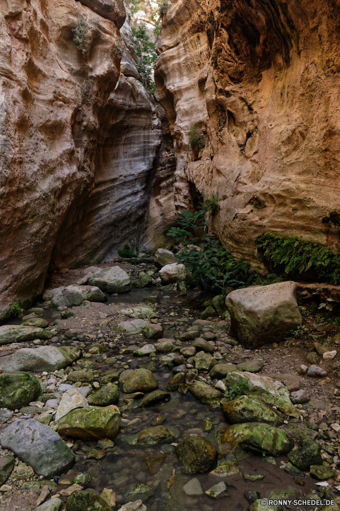  Schlucht Fels Fluss Schlucht Tal Landschaft Berg Felsen Wasser geologische formation Stein Park Höhle Berge Klippe Baum landschaftlich Reisen nationalen Wildnis Wasserfall Tourismus Wald im freien Stream felsigen Frühling Sommer natürliche Szenerie im freien Wild Creek natürliche depression Umgebung Wüste Cliff-Wohnung fällt Geologie Himmel fallen fließende Mauer Sand Wohnung Bäume Pflanze Kaskade Sandstein Steine Moos Steinmauer Wandern Orange Szene Strömung Bildung Extreme Urlaub Ziel Wolken Tag Gehäuse nass Zaun gelassene Hügel friedliche Schlucht Aushöhlung Sonne Struktur Farbe Bewegung trocken Erde frisch Küste Felsblock fallen Hölzer Barrier Felsbrocken rasche Flüsse geologische Meer Wanderung Blatt Grand entfernten üppige außerhalb Kiefer Reinigen platsch Denkmal Ozean Kühl Blätter niemand canyon rock river ravine valley landscape mountain rocks water geological formation stone park cave mountains cliff tree scenic travel national wilderness waterfall tourism forest outdoor stream rocky spring summer natural scenery outdoors wild creek natural depression environment desert cliff dwelling falls geology sky fall flowing wall sand dwelling trees plant cascade sandstone stones moss stone wall hiking orange scene flow formation extreme vacation destination clouds day housing wet fence serene hill peaceful gorge erosion sun structure color motion dry earth fresh coast boulder falling woods barrier boulders rapid rivers geological sea hike leaf grand remote lush outside pine clean splash monument ocean cool leaves nobody