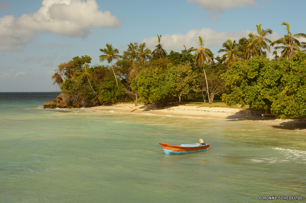 Cayo Levantado Strand Wasser Meer Ozean Insel Baum Tropischer Sand Reisen Boot Himmel Sommer Ufer Palm Urlaub Landschaft idyllische Resort Küste Ausleger Bucht ruhige Sonne Paddel Paradies Küste Lagune Entspannung Urlaub Stabilisator Türkis Tourismus landschaftlich Entspannen Sie sich Kajak See seelandschaft Szene Gerät Kokosnuss Escape Reise Bäume Kanu Welle Wolke Urlaub Sonnenlicht im freien echte Lorbeer Küstenlinie Erholung sonnig exotische am Meer Park Tropen Fluss Wolken Horizont Freizeit Ruder im freien am See Inseln Kreuzfahrt Sandbank white mangrove Tag Reise gelassene Ziel Ruhe Szenerie Schwimmen Klima woody plant kleines Boot Berg Reflexion Wendekreis Teich Landschaften Fels Hotel Bar niemand Pflanze friedliche Tourist klar entfernten Schiff Schiff Umgebung Klinge romantische Vögel Boote Surf Süden Barrier Grat Rest Verkehr Wald beach water sea ocean island tree tropical sand travel boat sky summer shore palm vacation landscape idyllic resort coast outrigger bay tranquil sun paddle paradise coastline lagoon relaxation holiday stabilizer turquoise tourism scenic relax kayak lake seascape scene device coconut escape journey trees canoe wave cloud vacations sunlight outdoors true laurel shoreline recreation sunny exotic seaside park tropics river clouds horizon leisure oar outdoor lakeside islands cruise sandbar white mangrove day trip serene destination calm scenery swim climate woody plant small boat mountain reflection tropic pond scenics rock hotel bar nobody plant peaceful tourist clear remote ship vessel environment blade romantic birds boats surf south barrier ridge rest transport forest