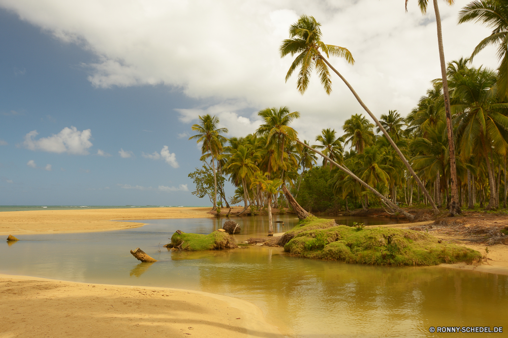 Playa Coson Strand Palm Insel Sand Ozean Meer Tropischer Baum Paradies Urlaub Küste Wasser Himmel Reisen Entspannen Sie sich Kokosnuss Sommer Ufer Resort Urlaub exotische Bucht Landschaft idyllische Sonne Küste ruhige seelandschaft landschaftlich Türkis Entspannung am Meer Bäume Tourismus Wendekreis echte Lorbeer Wolke Welle sonnig Horizont Lagune friedliche Escape Ruhe Erholung Tropen Ziel Sandbank Szenerie Wolken Handflächen Szene im freien Sonnenlicht Traum romantische Reise Bar Urlaub Küstenlinie warm Palme entspannende Schwimmen Reise Frieden niemand klar gelassene im freien leere Rest Tag Freizeit Kreuzfahrt sandigen entfernten Barrier Grat Sonnenuntergang Ufer Übernachtung Pflanze Urlaub Blatt Boot heiß Hochzeitsreise white mangrove Surf Himmel Nizza woody plant Inseln Farbe einsam Einsamkeit Reiseziele Bewuchs Wolkengebilde Klima Genießen Sie natürliche Höhe Wald Schatten bunte beach palm island sand ocean sea tropical tree paradise vacation coast water sky travel relax coconut summer shore resort holiday exotic bay landscape idyllic sun coastline tranquil seascape scenic turquoise relaxation seaside trees tourism tropic true laurel cloud wave sunny horizon lagoon peaceful escape calm recreation tropics destination sandbar scenery clouds palms scene outdoor sunlight dream romantic journey bar holidays shoreline warm palm tree relaxing swim trip peace nobody clear serene outdoors empty rest day leisure cruise sandy remote barrier ridge sunset waterside getaway plant vacations leaf boat hot honeymoon white mangrove surf heaven nice woody plant islands color lonely solitude destinations vegetation cloudscape climate enjoy natural elevation forest shadow colorful