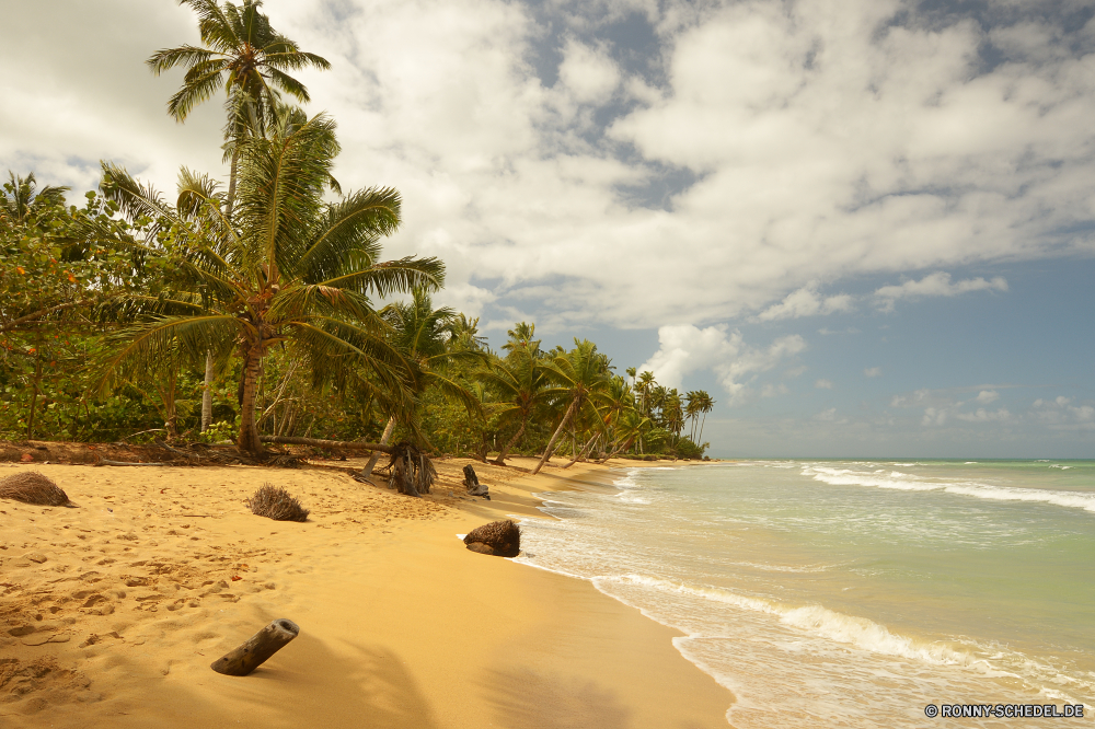 Playa Coson Strand Sand Ozean Meer Insel Tropischer Palm Paradies Wasser Urlaub Himmel Reisen Baum Küste Ufer Landschaft Küste Entspannen Sie sich Urlaub Resort Sonne exotische Wolke Sommer Kokosnuss Boden Türkis Bucht Tourismus landschaftlich am Meer Sandbank Welle idyllische Lagune Wolken Entspannung Düne Erde seelandschaft ruhige sonnig Ziel Bar Wendekreis Surf Horizont Sonnenlicht Bäume Pazifik Ruhe Barrier Grat Erholung Szene friedliche klar Fels Schwimmen romantische Tag im freien Szenerie Himmel Reise Urlaub Boot Tropen Reiseziele Blatt Küstenlinie im freien entspannende natürliche Höhe Inseln Escape einsam Traum Reise Sonnenschein Wellen Frieden Tourist sandigen Urlaub niemand heiß Berg Klima Schatten Wald Übernachtung Handflächen Koralle natürliche entfernten Bewuchs Pflanze Rest unberührte Ufer Palme Hochzeitsreise Kreuzfahrt Wolkengebilde Stein Felsen Süden Freizeit Farbe bunte hell beach sand ocean sea island tropical palm paradise water vacation sky travel tree coast shore landscape coastline relax holiday resort sun exotic cloud summer coconut soil turquoise bay tourism scenic seaside sandbar wave idyllic lagoon clouds relaxation dune earth seascape tranquil sunny destination bar tropic surf horizon sunlight trees pacific calm barrier ridge recreation scene peaceful clear rock swim romantic day outdoor scenery heaven journey holidays boat tropics destinations leaf shoreline outdoors relaxing natural elevation islands escape lonely dream trip sunshine waves peace tourist sandy vacations nobody hot mountain climate shadow forest getaway palms coral natural remote vegetation plant rest untouched waterside palm tree honeymoon cruise cloudscape stone rocks south leisure color colorful bright