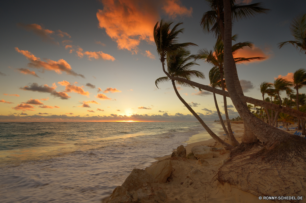 Punta Cana Strand Sonne Meer Ozean Sand Sonnenuntergang Baum Wasser Küste Tropischer Insel Reisen Himmel Palm Sonnenaufgang Paradies Landschaft Urlaub Ufer Urlaub echte Lorbeer Sommer Horizont Entspannen Sie sich Bucht Küste Wolke Kontur Resort Tourismus Dämmerung Bäume landschaftlich im freien Sterne friedliche ruhige Kokosnuss idyllische Morgenröte 'Nabend Szenerie Wolken sonnig am Meer Ruhe exotische Himmelskörper Welle klar Reflexion entspannende romantische Szene seelandschaft Surf Entspannung Reise Küstenlinie Ziel Wellen See Türkis Nacht Orange Erholung Wendekreis Reise Beleuchtung Himmel im freien Klima heiß Tropen Pazifik Reiseziele Abenteuer Traum Frieden Freizeit Apparat Menschen Gezeiten Küste Fels bunte woody plant Urlaub Boot warm Park Tourist natürliche Sonnenlicht Lagune Wüste Landschaften Stein Pflanze gelassene dunkel Sonnenschein Romantik Fluss beach sun sea ocean sand sunset tree water coast tropical island travel sky palm sunrise paradise landscape vacation shore holiday true laurel summer horizon relax bay coastline cloud silhouette resort tourism dusk trees scenic outdoor star peaceful tranquil coconut idyllic dawn evening scenery clouds sunny seaside calm exotic celestial body wave clear reflection relaxing romantic scene seascape surf relaxation trip shoreline destination waves lake turquoise night orange recreation tropic journey lighting heaven outdoors climate hot tropics pacific destinations adventure dream peace leisure apparatus people tide coastal rock colorful woody plant holidays boat warm park tourist natural sunlight lagoon desert scenics stone plant serene dark sunshine romance river