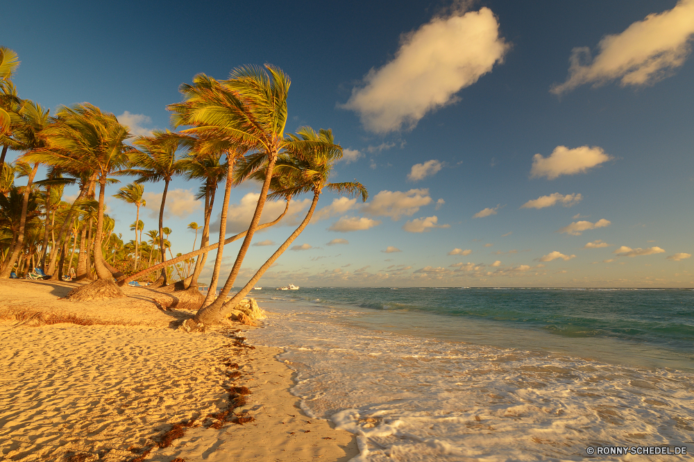 Punta Cana Baum Strand Himmel Landschaft woody plant Sand Ozean Wasser Pflanze Meer vascular plant Sonne Wolke Reisen Bäume Palm Sommer Horizont Feld Szenerie Entwicklung des ländlichen im freien Umgebung Park Urlaub Paradies Wolken Ufer Insel Gras Landschaft echte Lorbeer Küste Tropischer Land landschaftlich im freien Saison Sonnenuntergang Wald einsam Szene Land Sonnenlicht Tourismus sonnig Entspannen Sie sich idyllische bewölkt Berg natürliche Küste See Tag ruhige Holz Wiese Wüste Frühling Branch Farbe gelb Flora Kokosnuss Herbst klar Wild seelandschaft Bucht Einsamkeit Resort Blatt friedliche Ruhe exotische Fluss Urlaub Landbau am Meer Orange Berge Frieden Wetter fallen Bauernhof Küstenlinie Landwirtschaft saisonale Blätter Wildnis Fels Welle Kofferraum Zweige Reiner Weide Winter Abenteuer Entspannung Sonnenaufgang Kontur trocken Belaubung Beleuchtung Ökologie Schnee tree beach sky landscape woody plant sand ocean water plant sea vascular plant sun cloud travel trees palm summer horizon field scenery rural outdoor environment park vacation paradise clouds shore island grass countryside true laurel coast tropical country scenic outdoors season sunset forest lonely scene land sunlight tourism sunny relax idyllic cloudy mountain natural coastline lake day tranquil wood meadow desert spring branch color yellow flora coconut autumn clear wild seascape bay solitude resort leaf peaceful calm exotic river holiday farming seaside orange mountains peace weather fall farm shoreline agriculture seasonal leaves wilderness rock wave trunk branches plain pasture winter adventure relaxation sunrise silhouette dry foliage lighting ecology snow