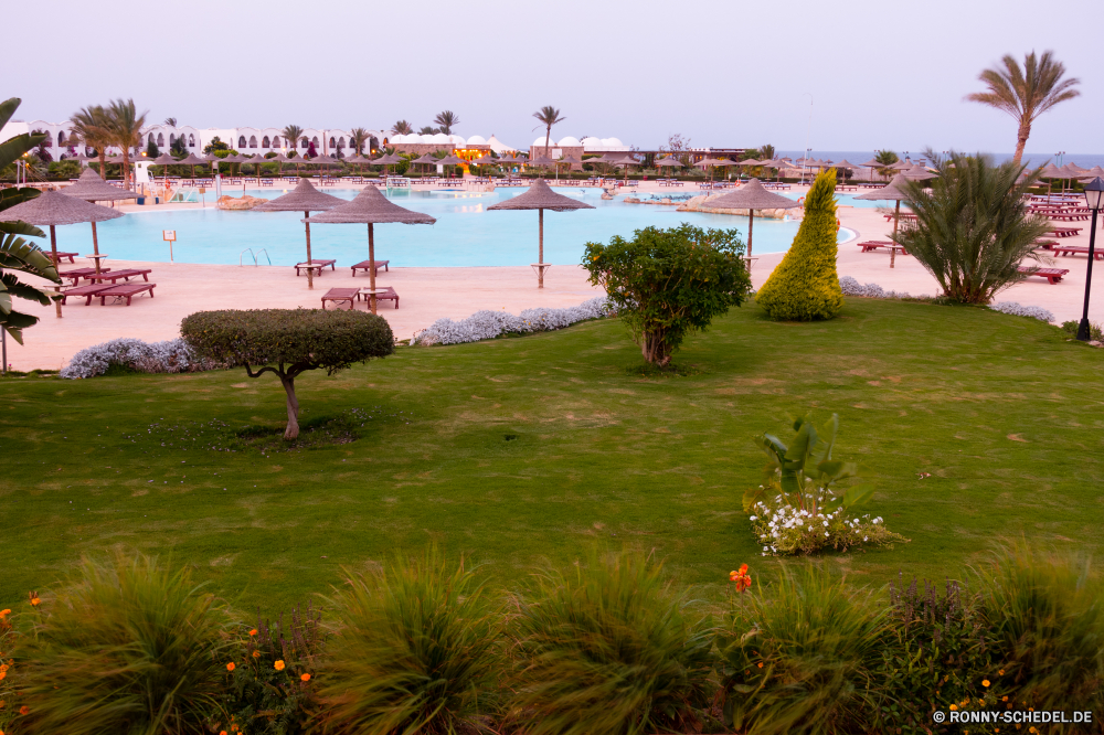 Gorgonia Beach Resort Landschaft Himmel Baum Ufer am See See Szenerie Stadt Wasser Reisen landschaftlich Haus Fluss Palast Sommer Tourismus Park Wolken Gebäude Bäume Architektur Land Landschaft im freien sonnig Tourist Sonne Hügel Entwicklung des ländlichen friedliche Berg Panorama Gras alt Urlaub Szene Wolke Struktur Meer Wald Reflexion historischen Dorf Sonnenuntergang Turm Strand Brücke Horizont Bauernhof im freien Urlaub Berge Tempel Frühling Ozean Häuser Felder Sand Resort Kirche Küste Hügel Schloss idyllische woody plant Pflanze natürliche Stadt Feld Sonnenlicht Herbst Landwirtschaft Urban Ackerland Fels Landschaften Garten Palm Ziel traditionelle Residenz Weide Umgebung Wetter am Morgen vascular plant bunte Tag Antike Tal Norden Dämmerung England Land Sonnenaufgang Denkmal Licht Kurs Ruhe Wahrzeichen Nacht landscape sky tree shore lakeside lake scenery city water travel scenic house river palace summer tourism park clouds building trees architecture country countryside outdoors sunny tourist sun hill rural peaceful mountain panorama grass old vacation scene cloud structure sea forest reflection historic village sunset tower beach bridge horizon farm outdoor holiday mountains temple spring ocean houses fields sand resort church coast hills castle idyllic woody plant plant natural town field sunlight autumn agriculture urban farmland rock scenics garden palm destination traditional residence willow environment weather morning vascular plant colorful day ancient valley north dusk england land sunrise monument light course calm landmark night