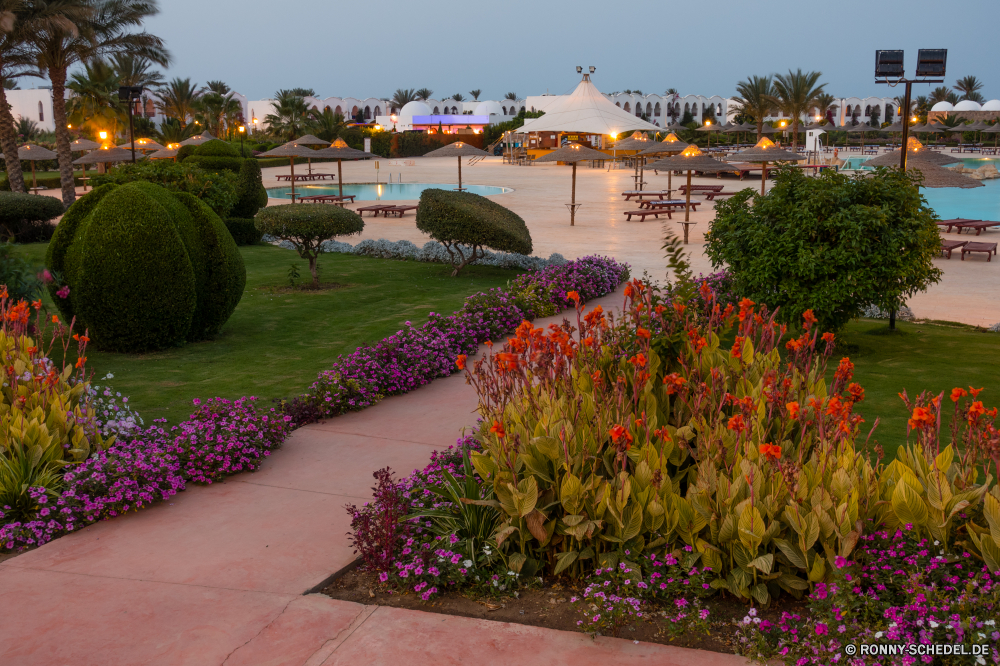 Gorgonia Beach Resort Garten Bedder Pflanze Blume Gartenpflanze Landschaft Blumen Sommer Frühling Himmel Gras Tulpe Baum Flora Feld Pflanzen Park Entwicklung des ländlichen Organismus im freien sonnig Szene Saison bunte Gebäude gelb Reisen Landschaft Wiese natürliche Bäume Gewächshaus Blumen blühen Berge Szenerie Struktur Stadt Hügel Wolken Land Landwirtschaft Hügel im freien Architektur Berg Gartenarbeit landschaftlich Blüte Floral Farbe Blatt Tourismus Herbst idyllische Sonne Wachstum blühen Rosa Tag fallen Bauernhof Tulpen Felder saisonale Wolke Rasen Tourist wachsen Mohn Haus vascular plant Häuser Wasser Bewuchs außerhalb Wüste Botanik Stadt See Straße Hintergründe Geschichte Farben Orange Wald Frühling Zaun Palast berühmte Land historischen friedliche lila frisch hell Sonnenlicht Fluss lebendige garden bedder plant flower garden plant landscape flowers summer spring sky grass tulip tree flora field plants park rural organism outdoor sunny scene season colorful building yellow travel countryside meadow natural trees greenhouse blossom mountains scenery structure city hills clouds country agriculture hill outdoors architecture mountain gardening scenic bloom floral color leaf tourism autumn idyllic sun growth blooming pink day fall farm tulips fields seasonal cloud lawn tourist grow poppy house vascular plant houses water vegetation outside desert botany town lake road backgrounds history colors orange forest springtime fence palace famous land historic peaceful purple fresh bright sunlight river vibrant